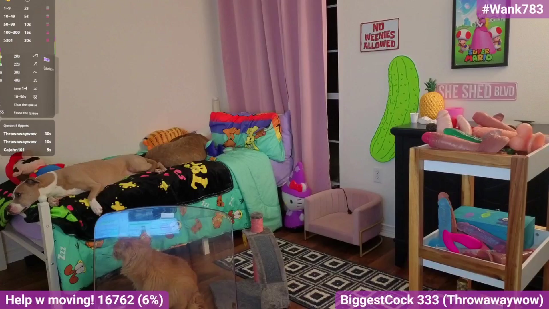 Gallery image thumbnail from Southernms's myfreecams stream on, 02/22/2026, 03:17 image 17 of 20