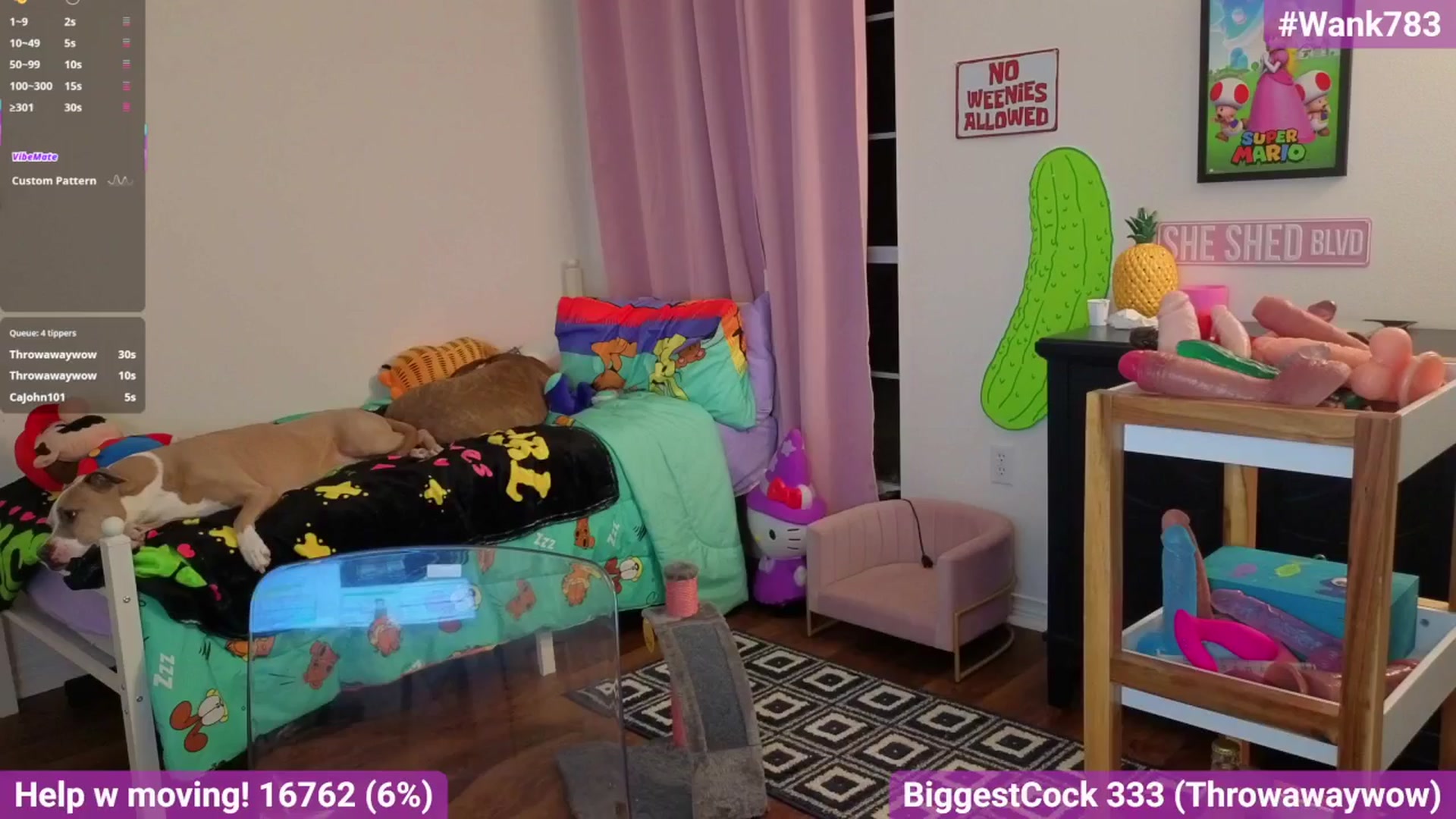 Gallery image thumbnail from Southernms's myfreecams stream on, 02/22/2026, 03:17 image 15 of 20