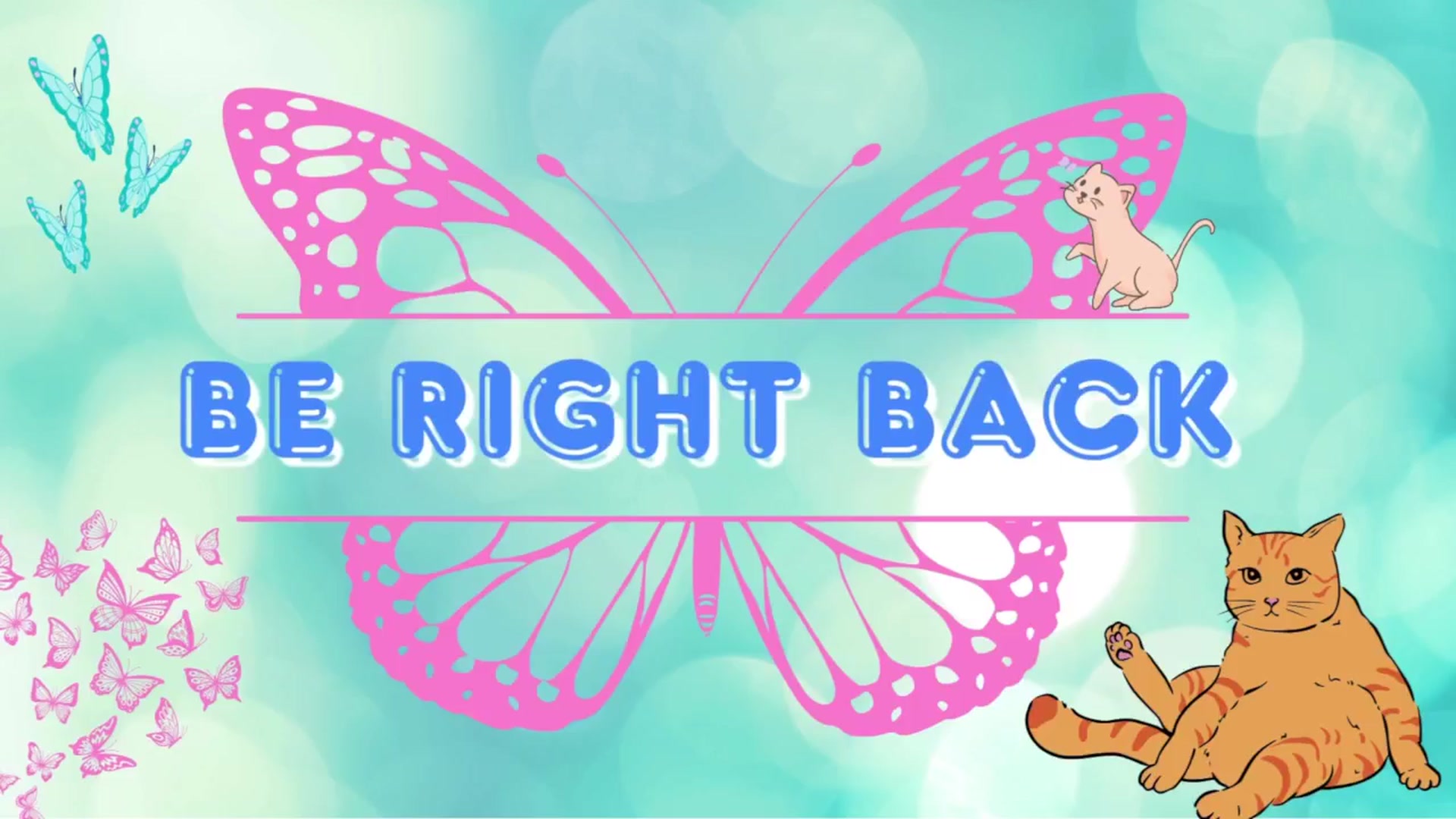 Gallery image thumbnail from Southernms's myfreecams stream on, 02/24/2026, 06:33 image 2 of 20