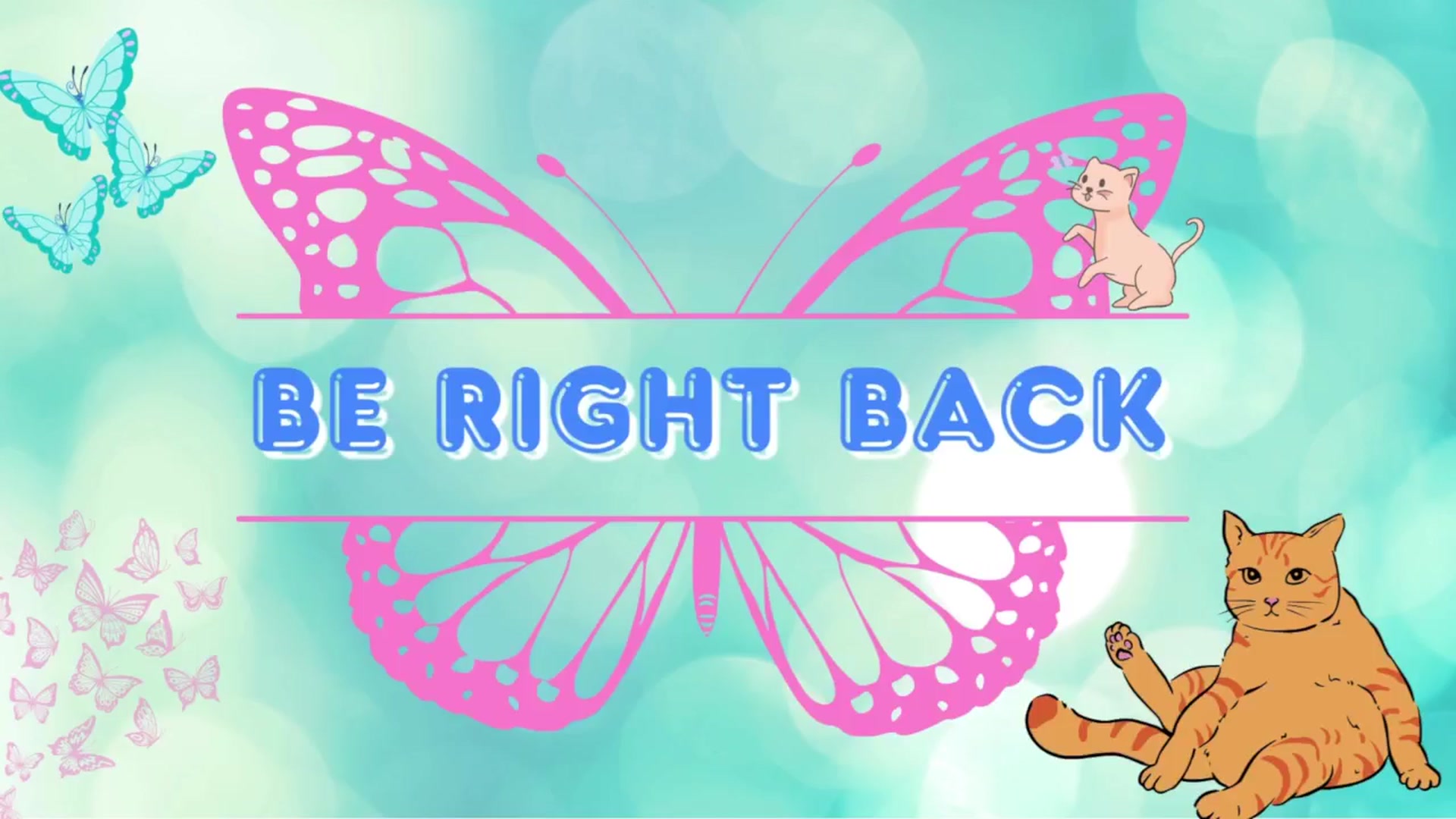 Gallery image thumbnail from Southernms's myfreecams stream on, 04/17/2026, 24:43 image 6 of 20