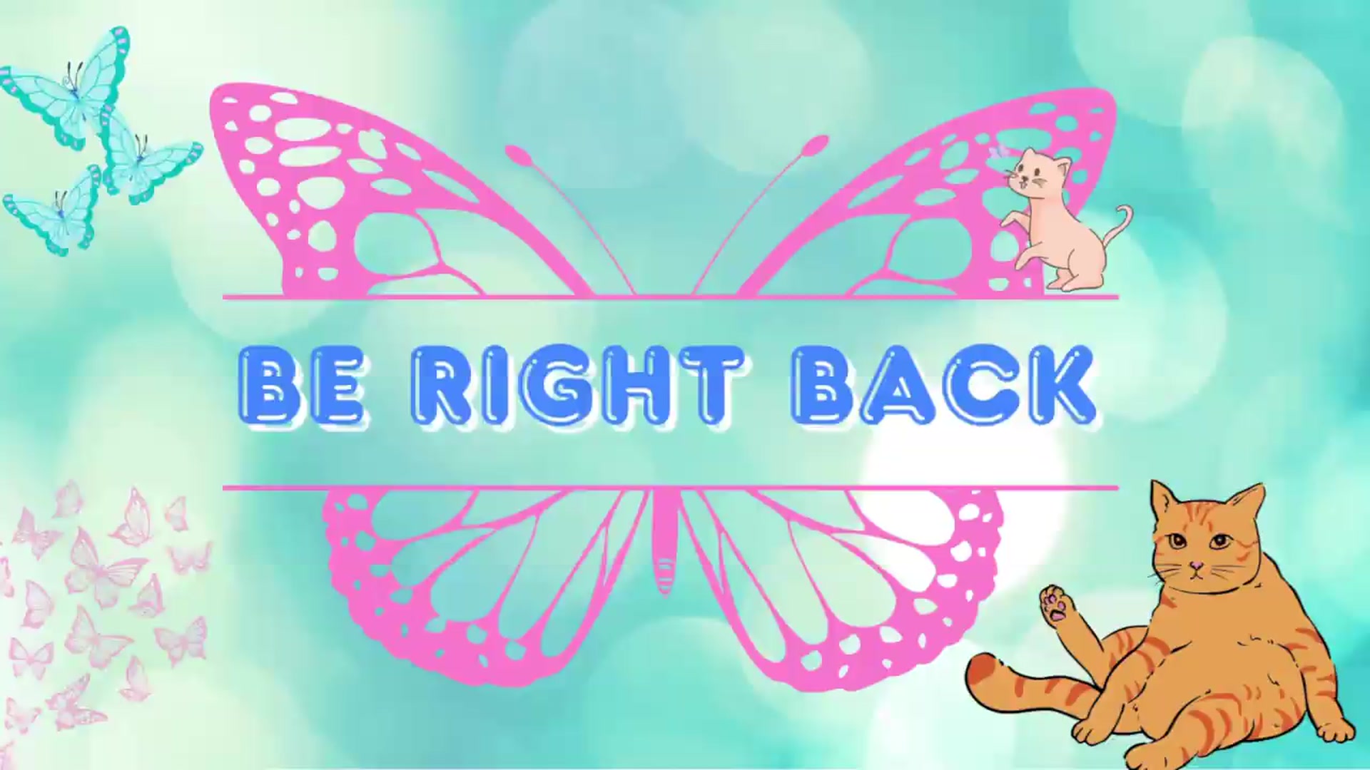 Gallery image thumbnail from Southernms's myfreecams stream on, 05/31/2026, 23:26 image 3 of 20