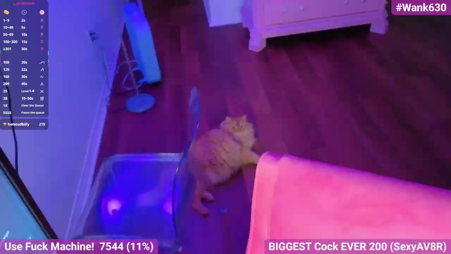 Gallery image thumbnail from Southernms's myfreecams stream on, 06/02/2026, 06:07 image 14 of 20