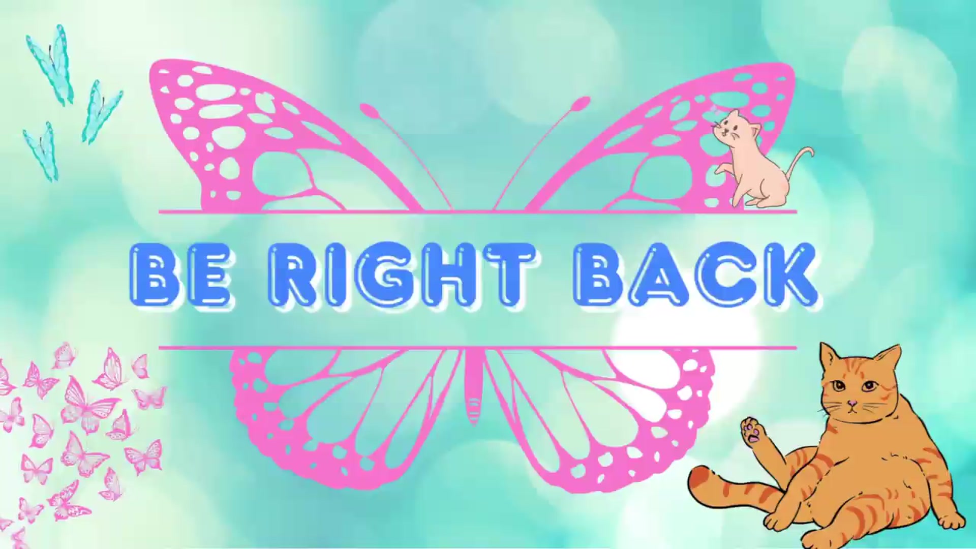 Gallery image thumbnail from Southernms's myfreecams stream on, 06/02/2026, 23:08 image 8 of 20