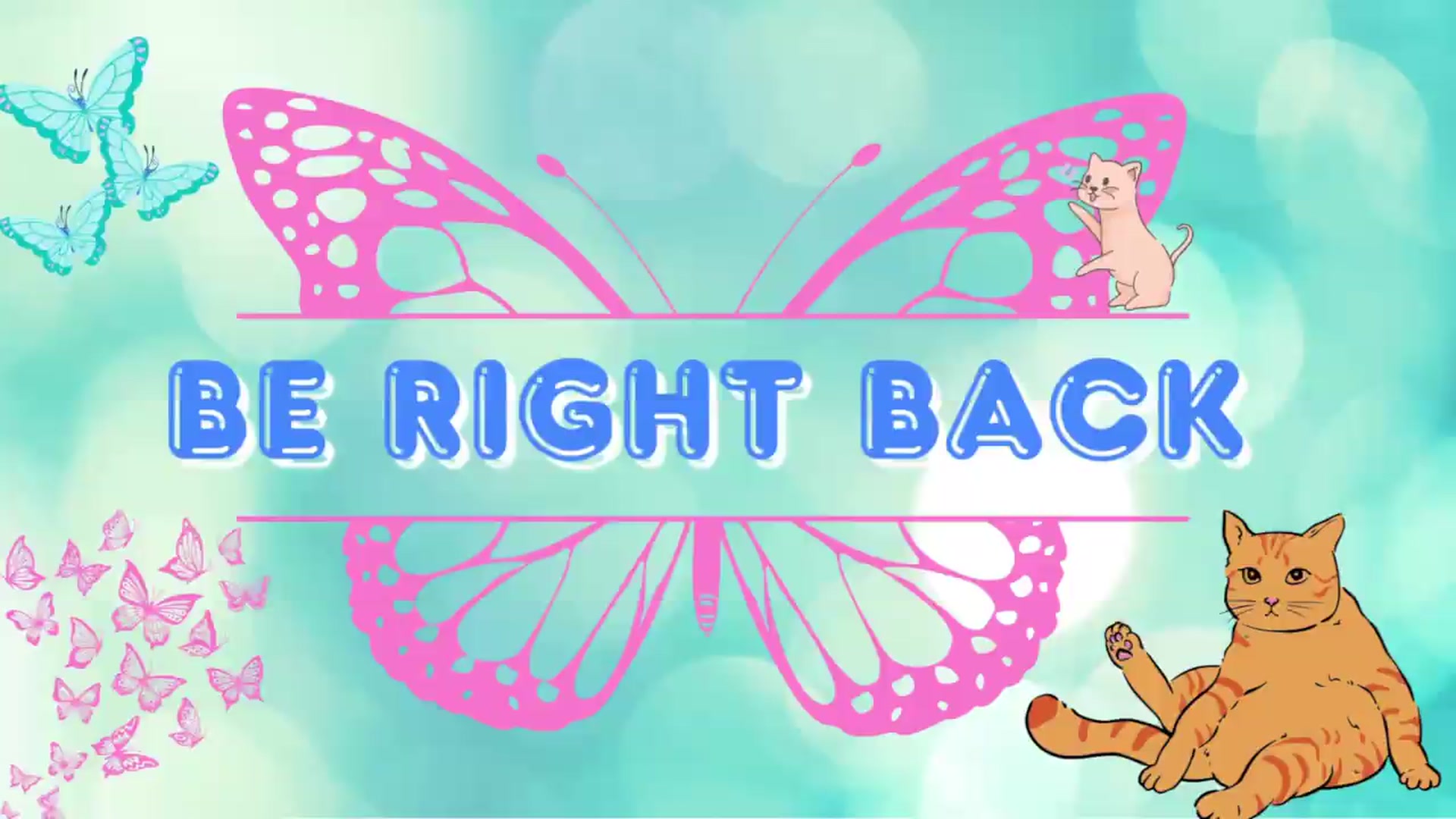 Gallery image thumbnail from Southernms's myfreecams stream on, 06/23/2026, 21:33 image 16 of 20