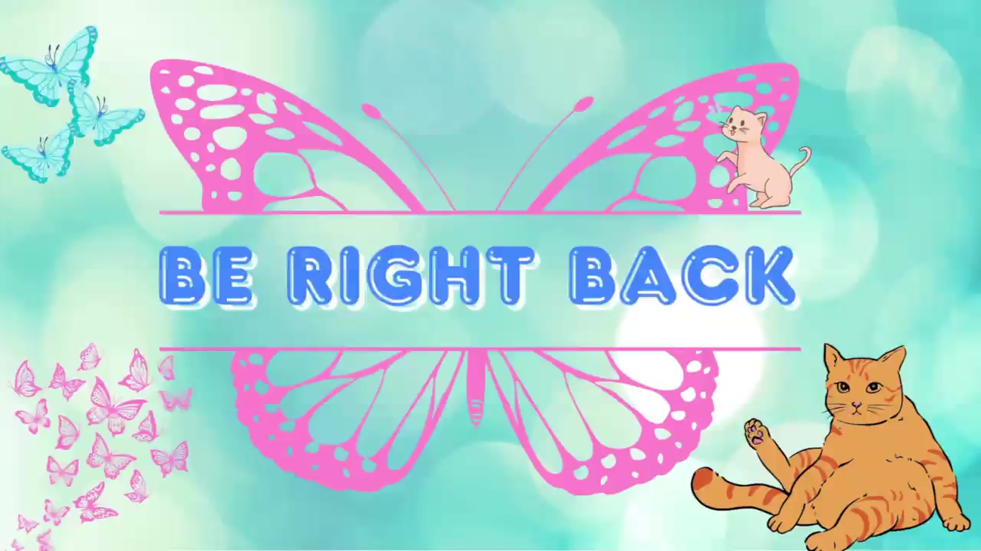 Gallery image thumbnail from Southernms's myfreecams stream on, 07/06/2026, 24:00 image 3 of 20