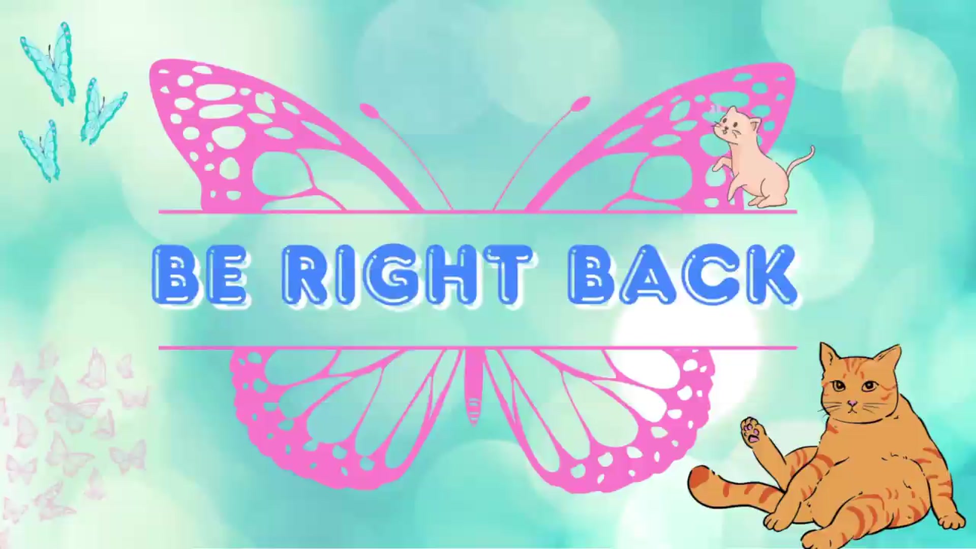 Gallery image thumbnail from Southernms's myfreecams stream on, 07/06/2026, 24:00 image 2 of 20