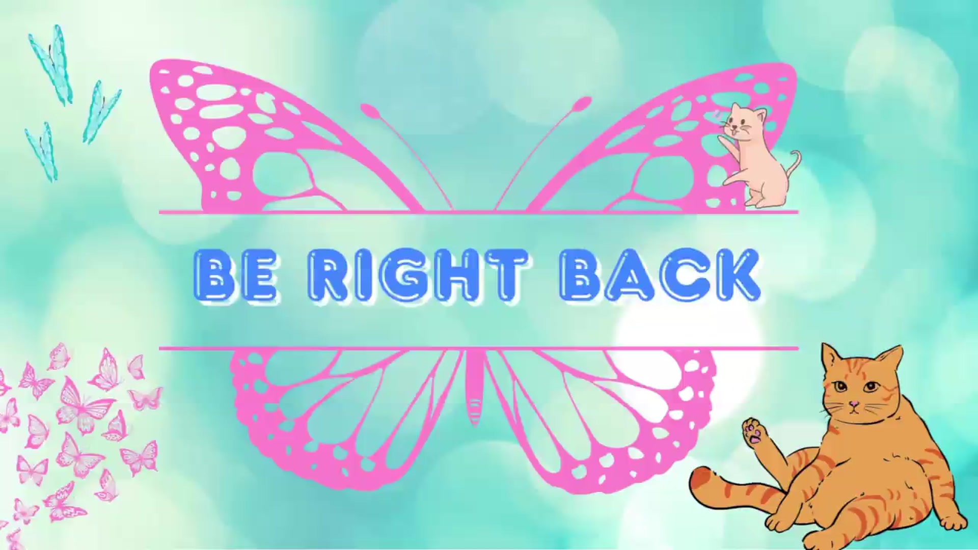 Gallery image thumbnail from Southernms's myfreecams stream on, 07/21/2026, 20:49 image 2 of 20