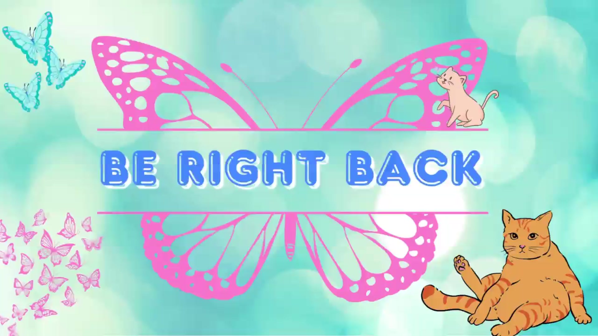 Gallery image thumbnail from Southernms's myfreecams stream on, 07/24/2026, 03:44 image 5 of 20