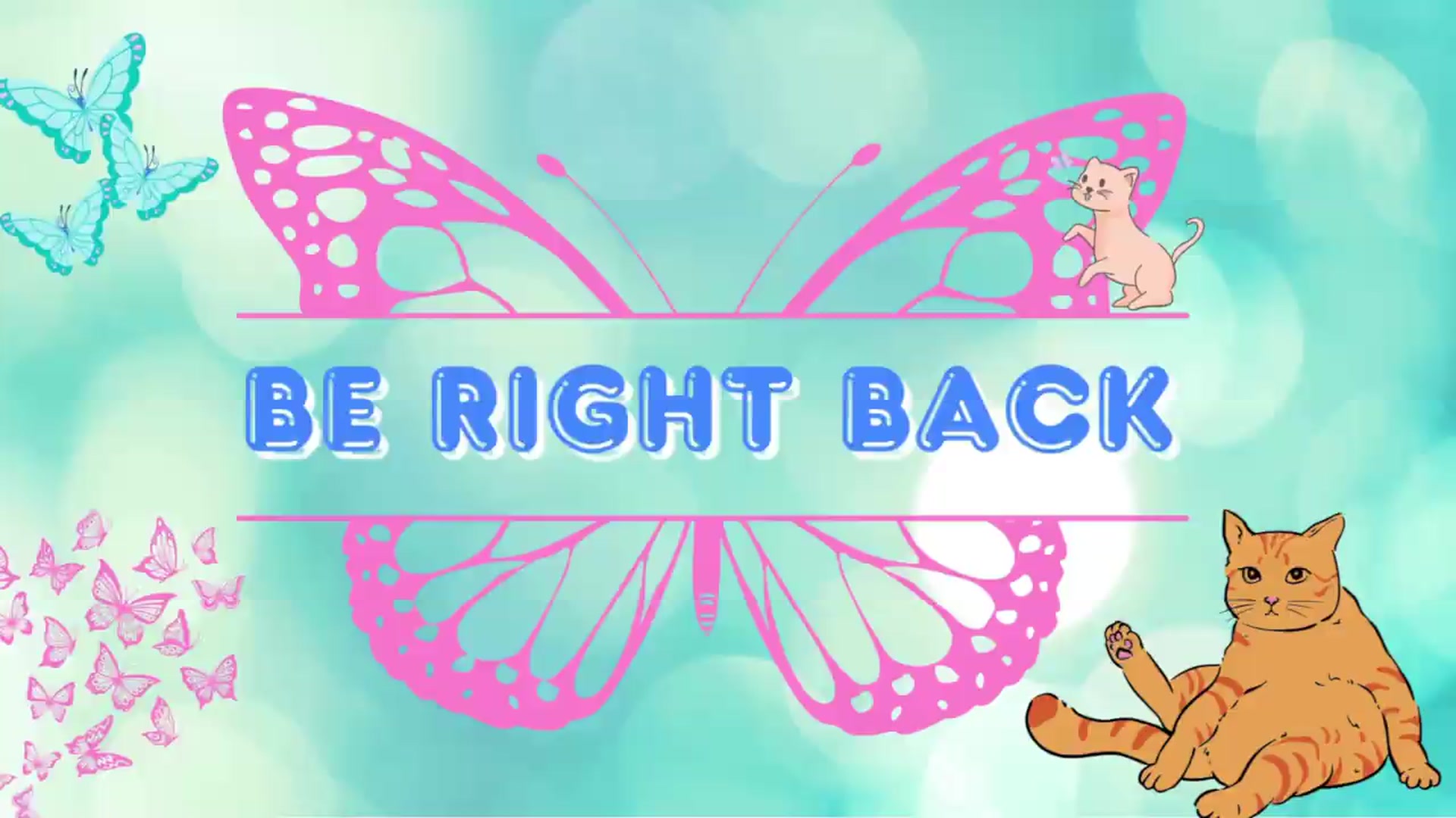 Gallery image thumbnail from Southernms's myfreecams stream on, 07/29/2026, 22:25 image 15 of 20