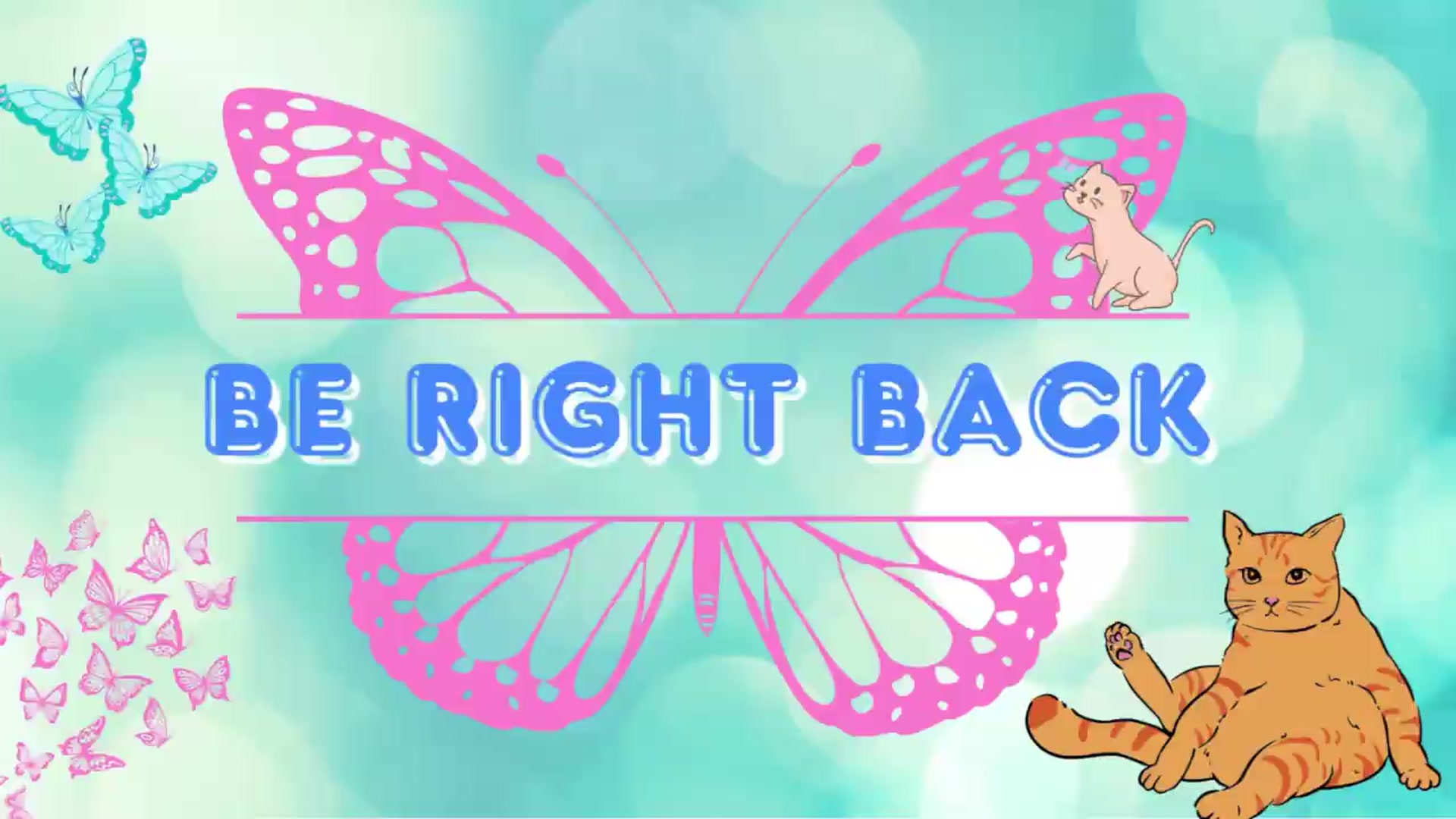 Gallery image thumbnail from Southernms's myfreecams stream on, 07/29/2026, 22:25 image 16 of 20