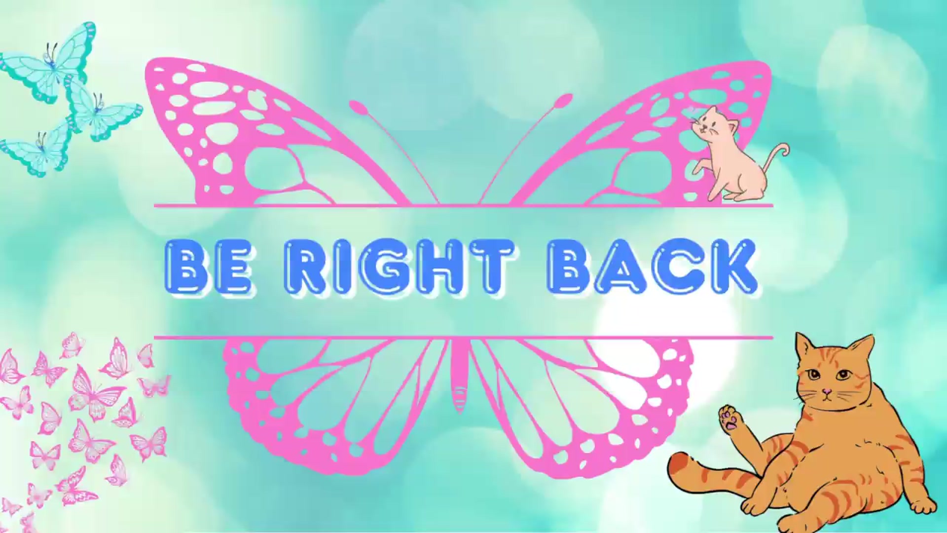 Gallery image thumbnail from Southernms's myfreecams stream on, 08/02/2026, 03:13 image 19 of 20