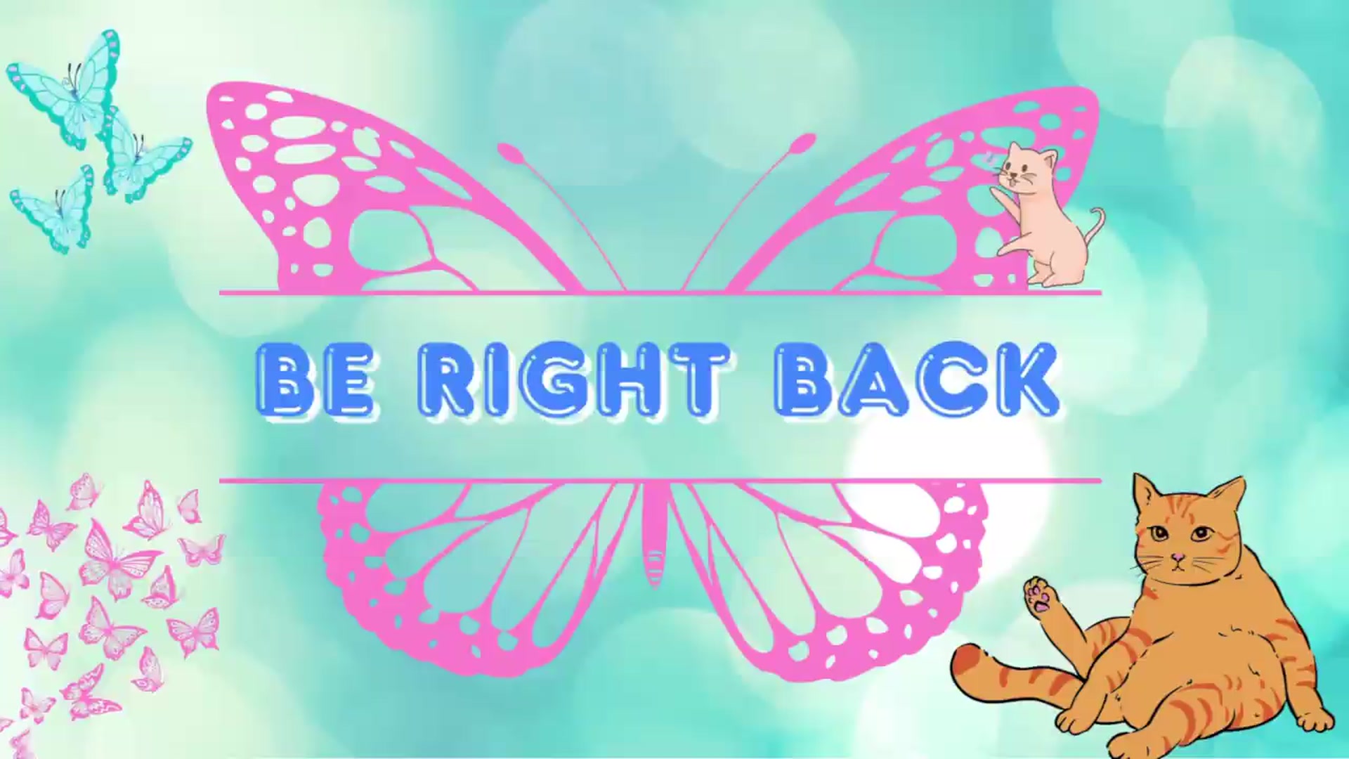 Gallery image thumbnail from Southernms's myfreecams stream on, 08/02/2026, 03:13 image 18 of 20