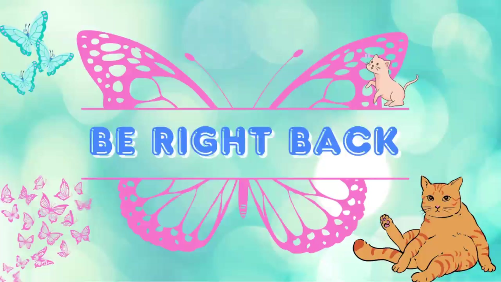 Gallery image thumbnail from Southernms's myfreecams stream on, 08/02/2026, 03:13 image 12 of 20