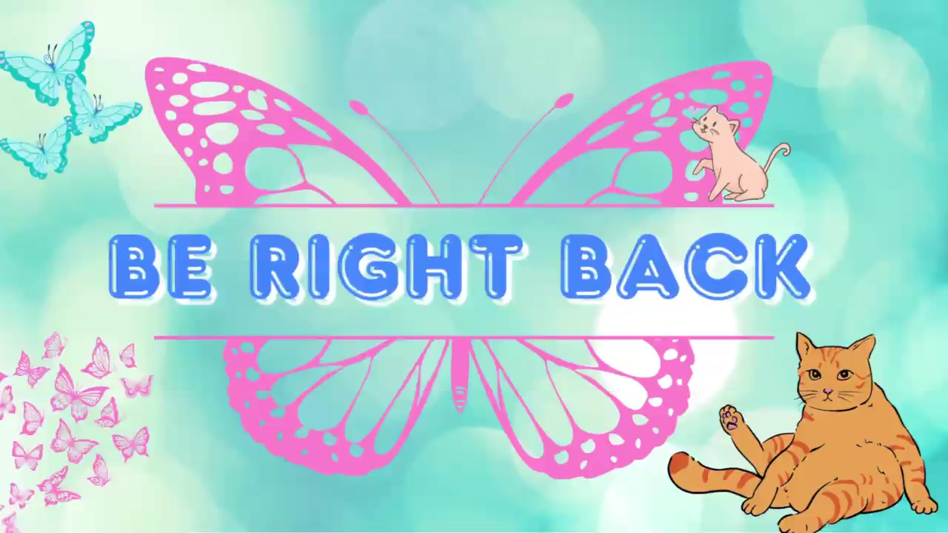 Gallery image thumbnail from Southernms's myfreecams stream on, 08/02/2026, 03:13 image 14 of 20