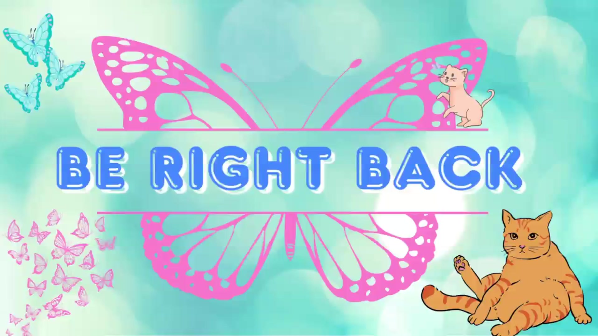 Gallery image thumbnail from Southernms's myfreecams stream on, 08/02/2026, 03:13 image 20 of 20