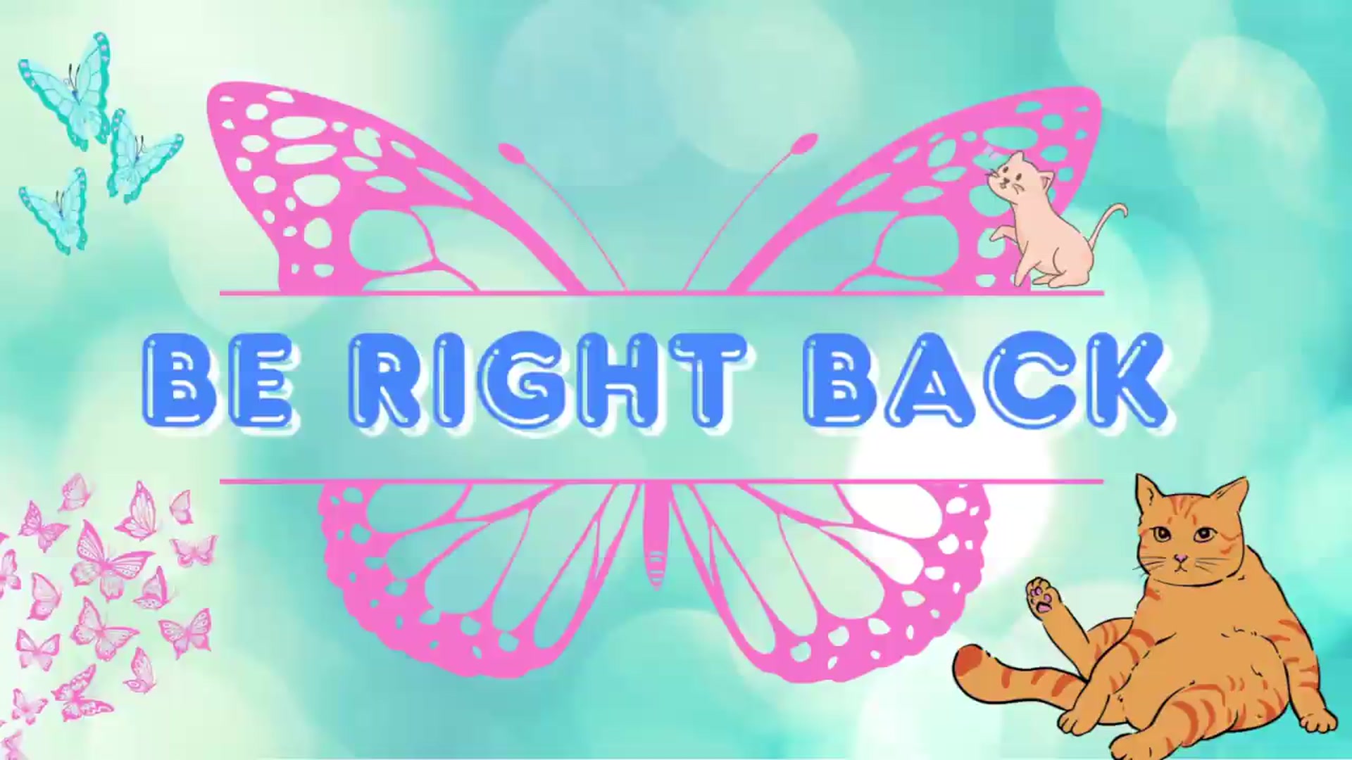 Gallery image thumbnail from Southernms's myfreecams stream on, 08/04/2026, 06:40 image 1 of 20