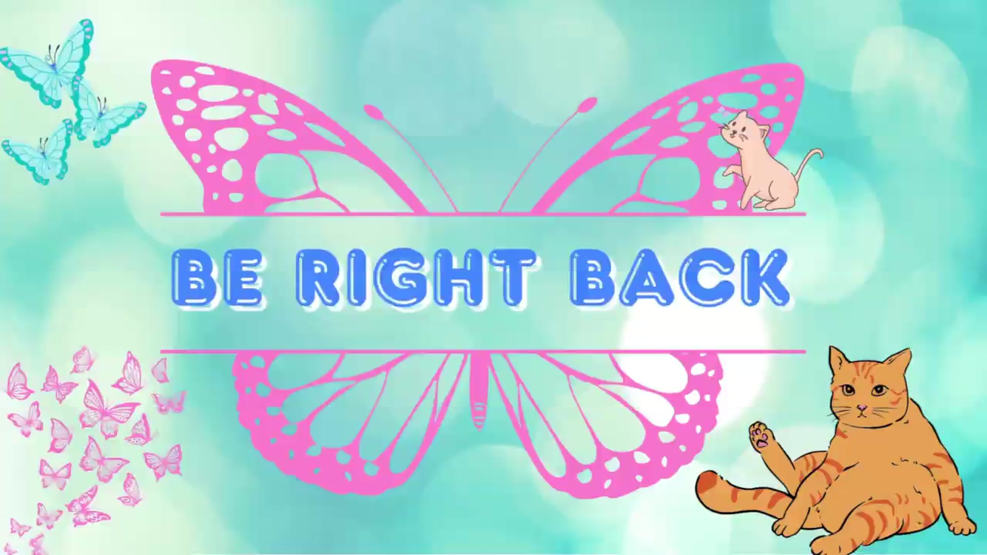 Gallery image thumbnail from Southernms's myfreecams stream on, 08/06/2026, 05:33 image 15 of 20