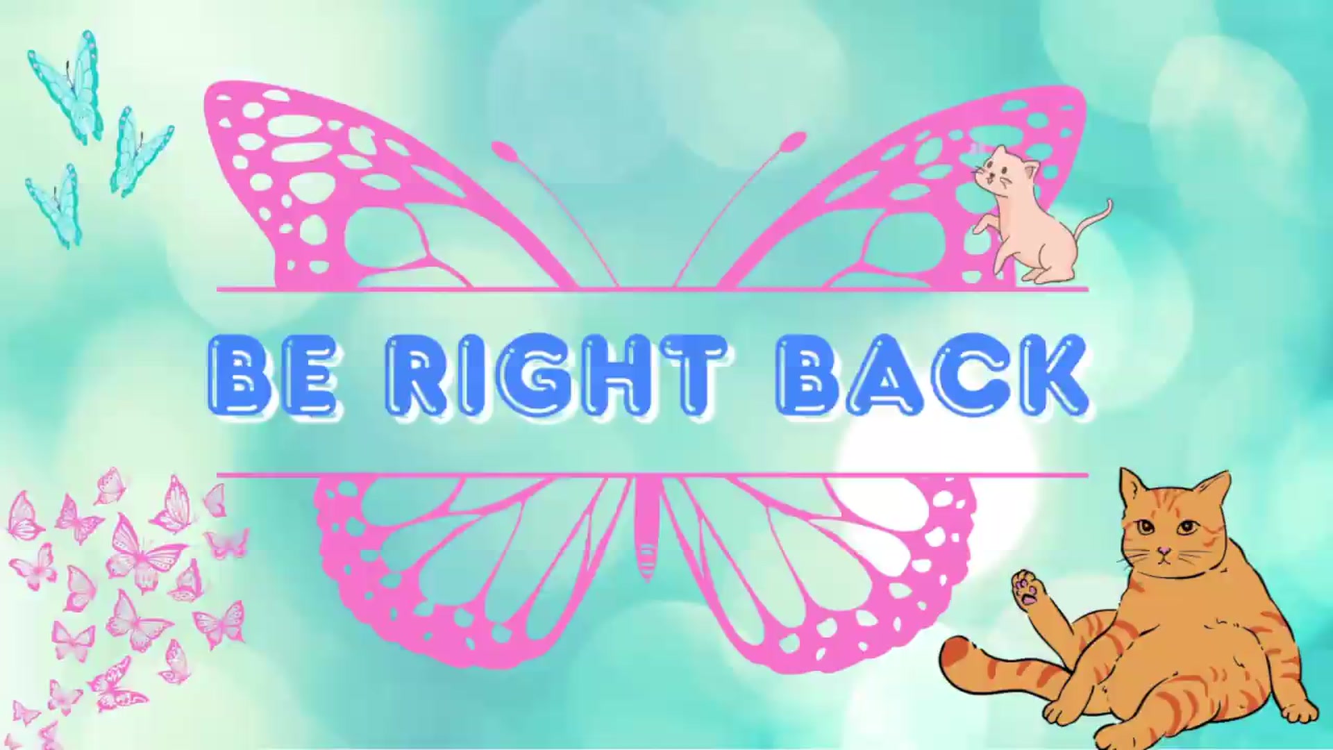 Gallery image thumbnail from Southernms's myfreecams stream on, 08/06/2026, 05:33 image 17 of 20