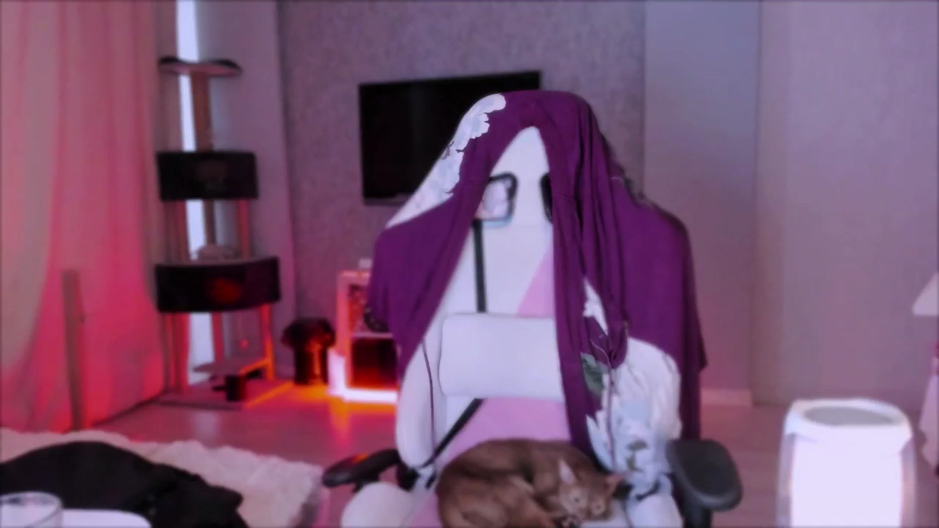 Gallery image thumbnail from Space_Eva's myfreecams stream on, 10/23/2023, 04:31 image 18 of 20