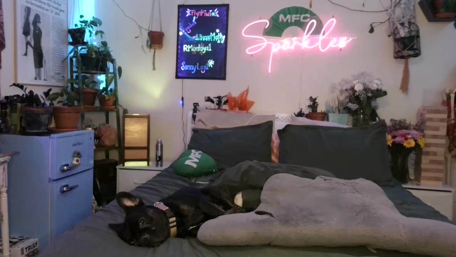 Gallery image thumbnail from Sparkl3s_BDay's myfreecams stream on, 09/16/2025, 08:35 image 5 of 20