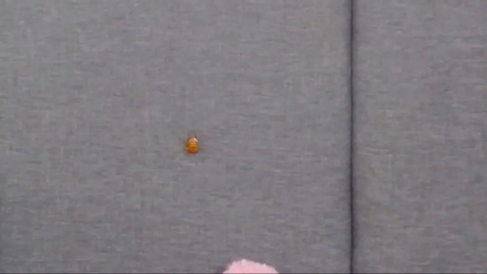 Gallery image thumbnail from SparklingN's myfreecams stream on, 11/21/2022, 18:37 image 12 of 20