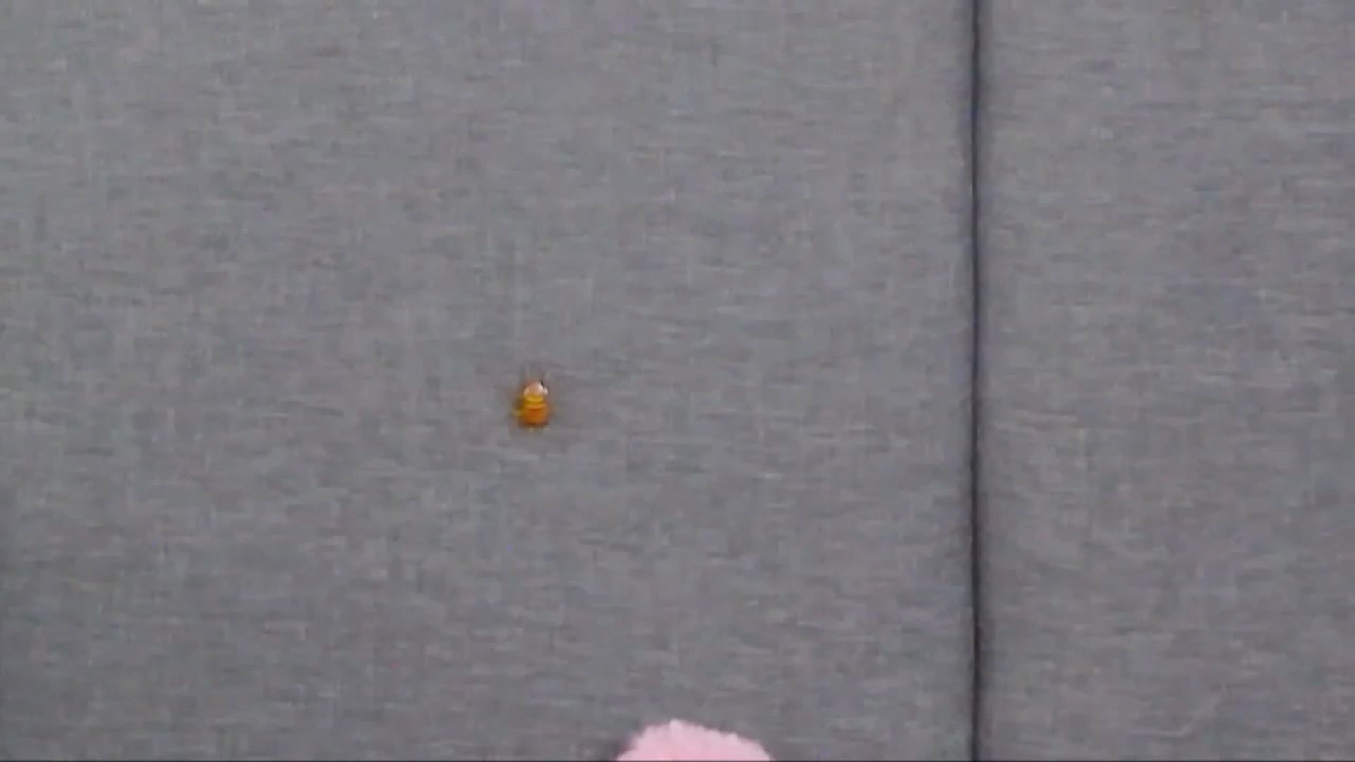Gallery image thumbnail from SparklingN's myfreecams stream on, 11/21/2022, 18:37 image 11 of 20