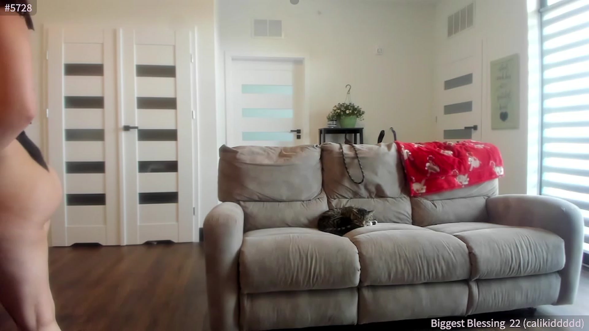 Gallery image thumbnail from SparklySays's myfreecams stream on, 05/12/2023, 17:50 image 6 of 20