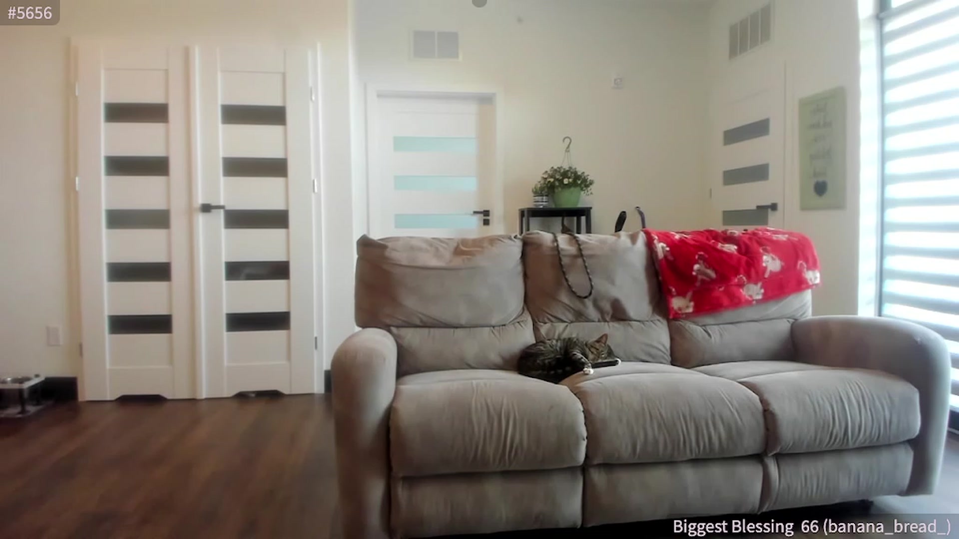 Gallery image thumbnail from SparklySays's myfreecams stream on, 05/12/2023, 17:50 image 17 of 20