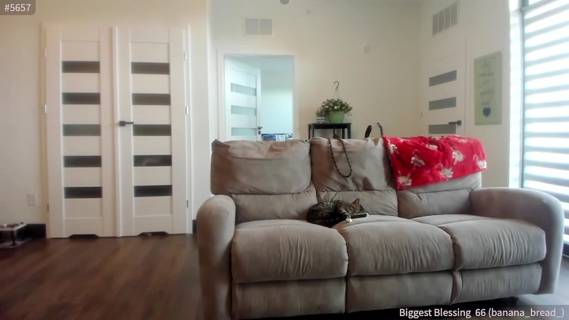 Gallery image thumbnail from SparklySays's myfreecams stream on, 05/12/2023, 17:50 image 16 of 20