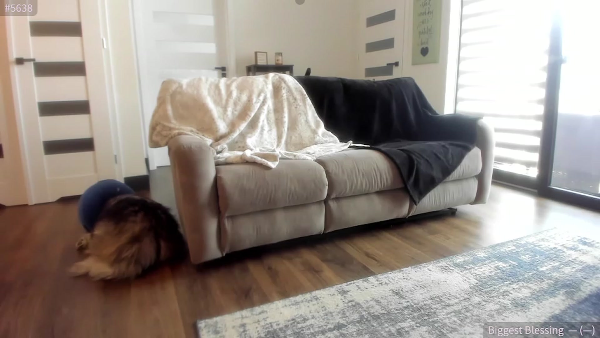 Gallery image thumbnail from SparklySays's myfreecams stream on, 05/15/2023, 17:42 image 6 of 20