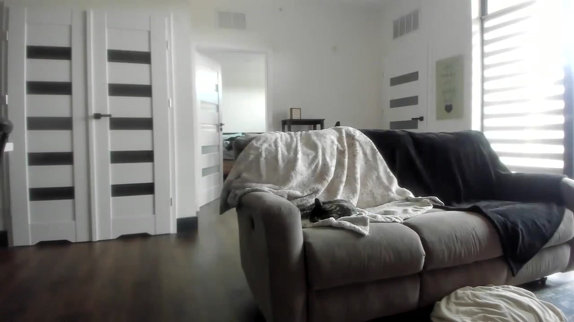 Gallery image thumbnail from SparklySays's myfreecams stream on, 05/16/2023, 17:37 image 11 of 20