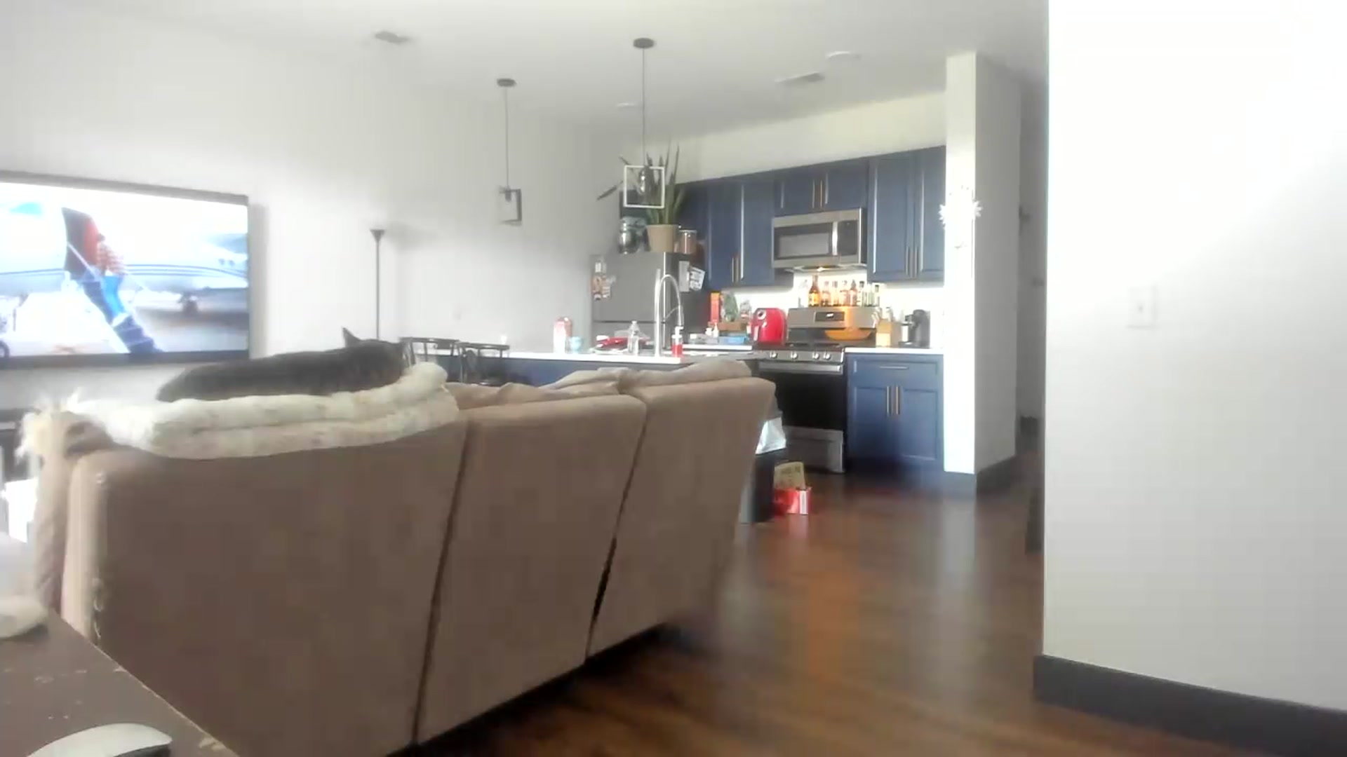 Gallery image thumbnail from Sparkly__'s myfreecams stream on, 07/11/2023, 15:34 image 8 of 20