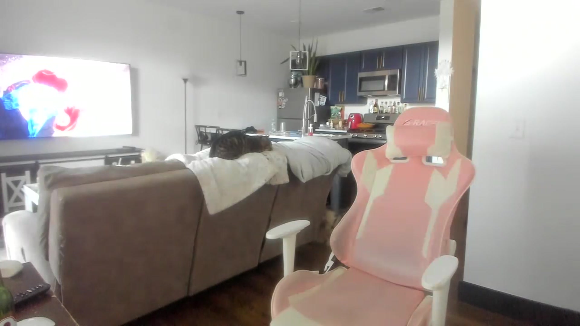 Gallery image thumbnail from Sparkly__'s myfreecams stream on, 07/14/2023, 19:18 image 17 of 20