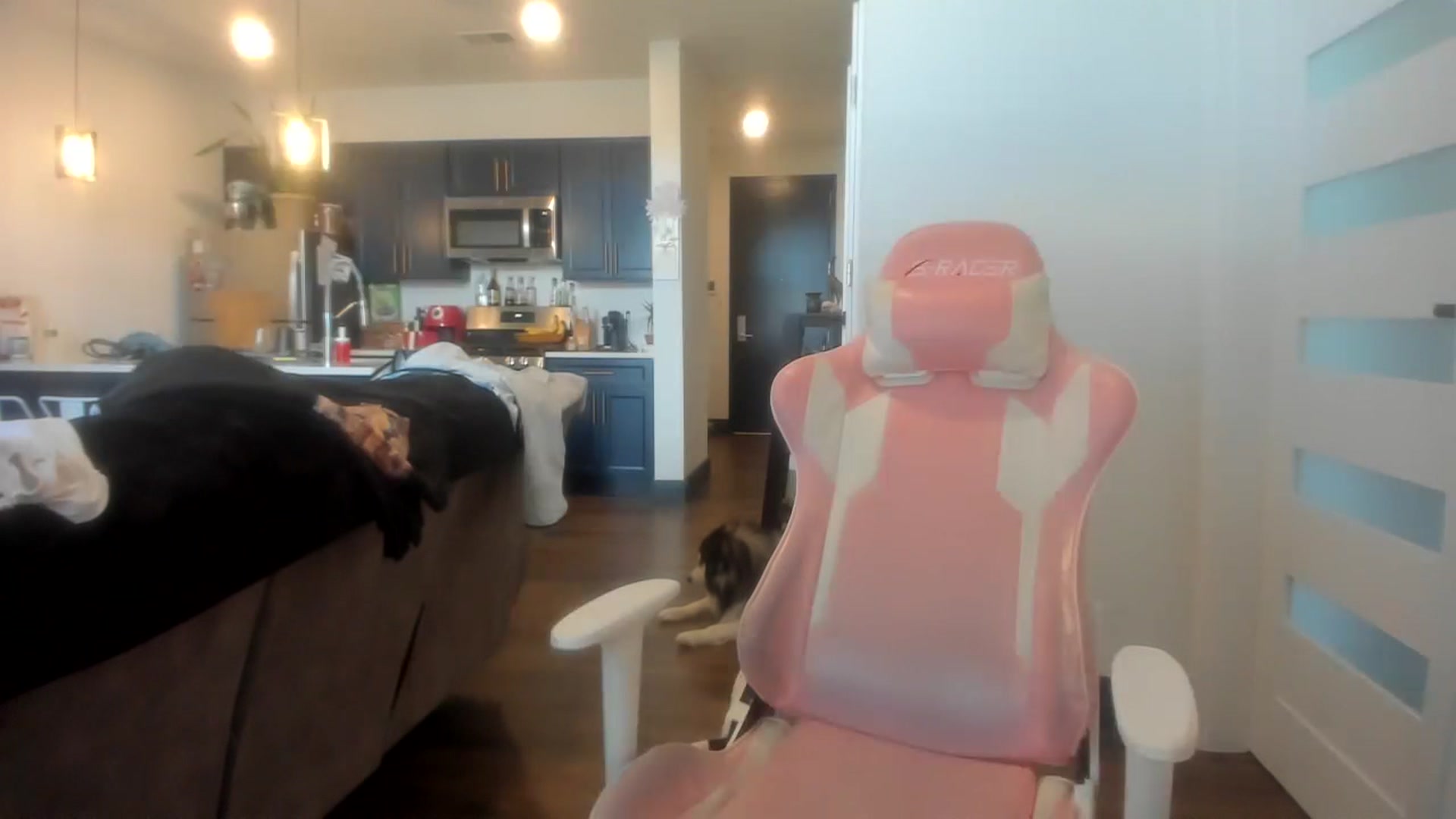 Gallery image thumbnail from Sparkly__'s myfreecams stream on, 07/21/2023, 19:03 image 20 of 20