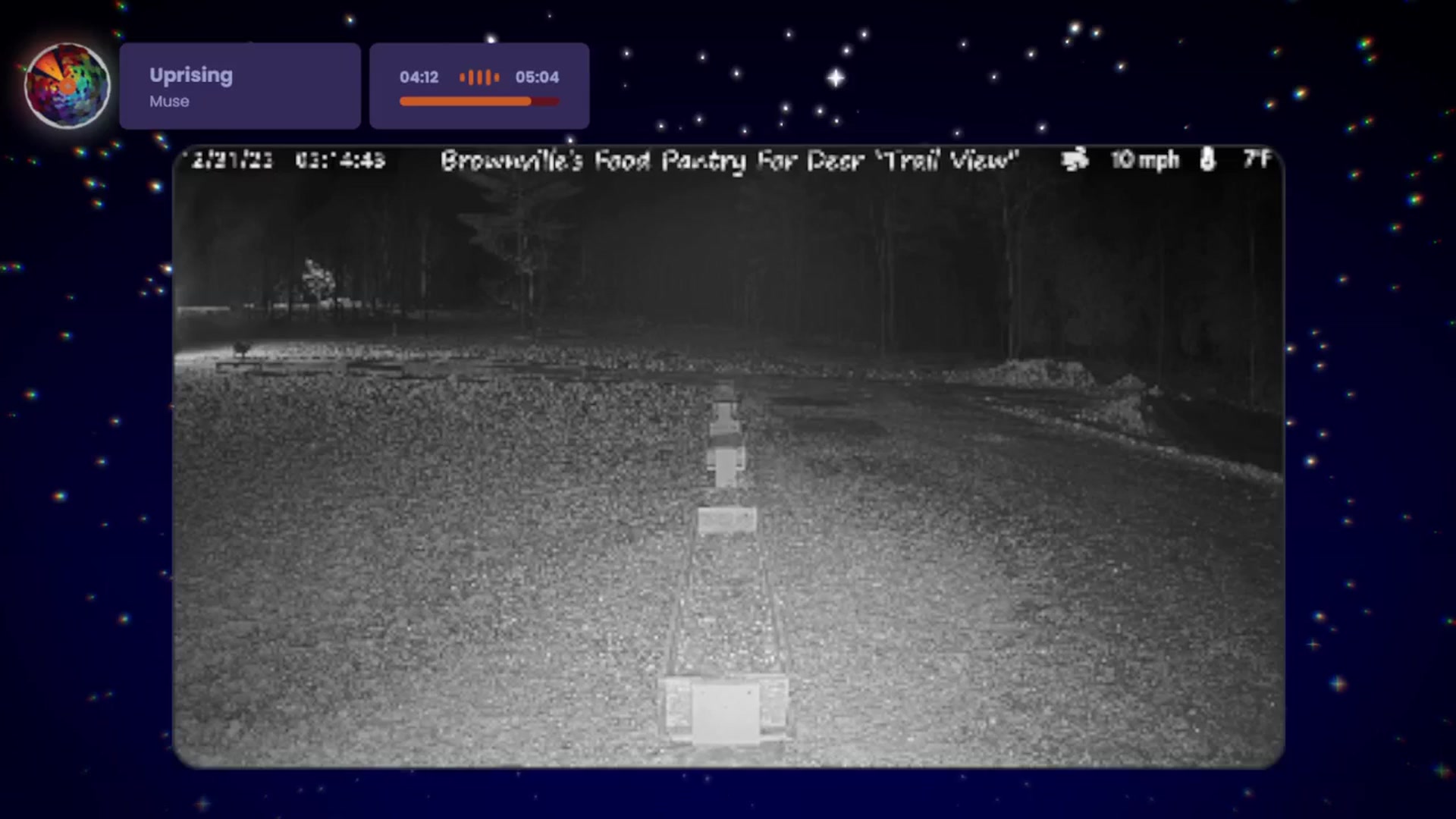 Gallery image thumbnail from Special_One's myfreecams stream on, 12/31/2025, 11:47 image 7 of 20