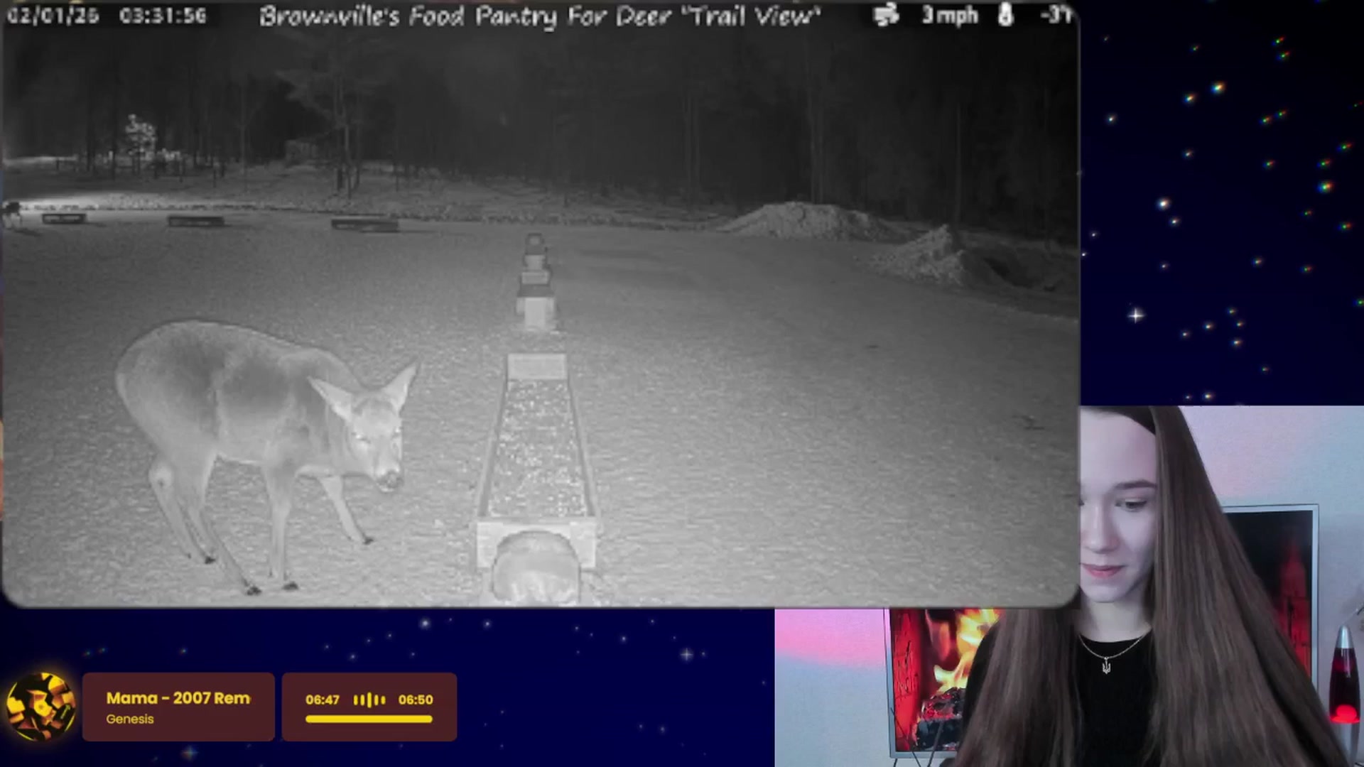 Gallery image thumbnail from Special_One's myfreecams stream on, 02/01/2026, 09:49 image 15 of 20