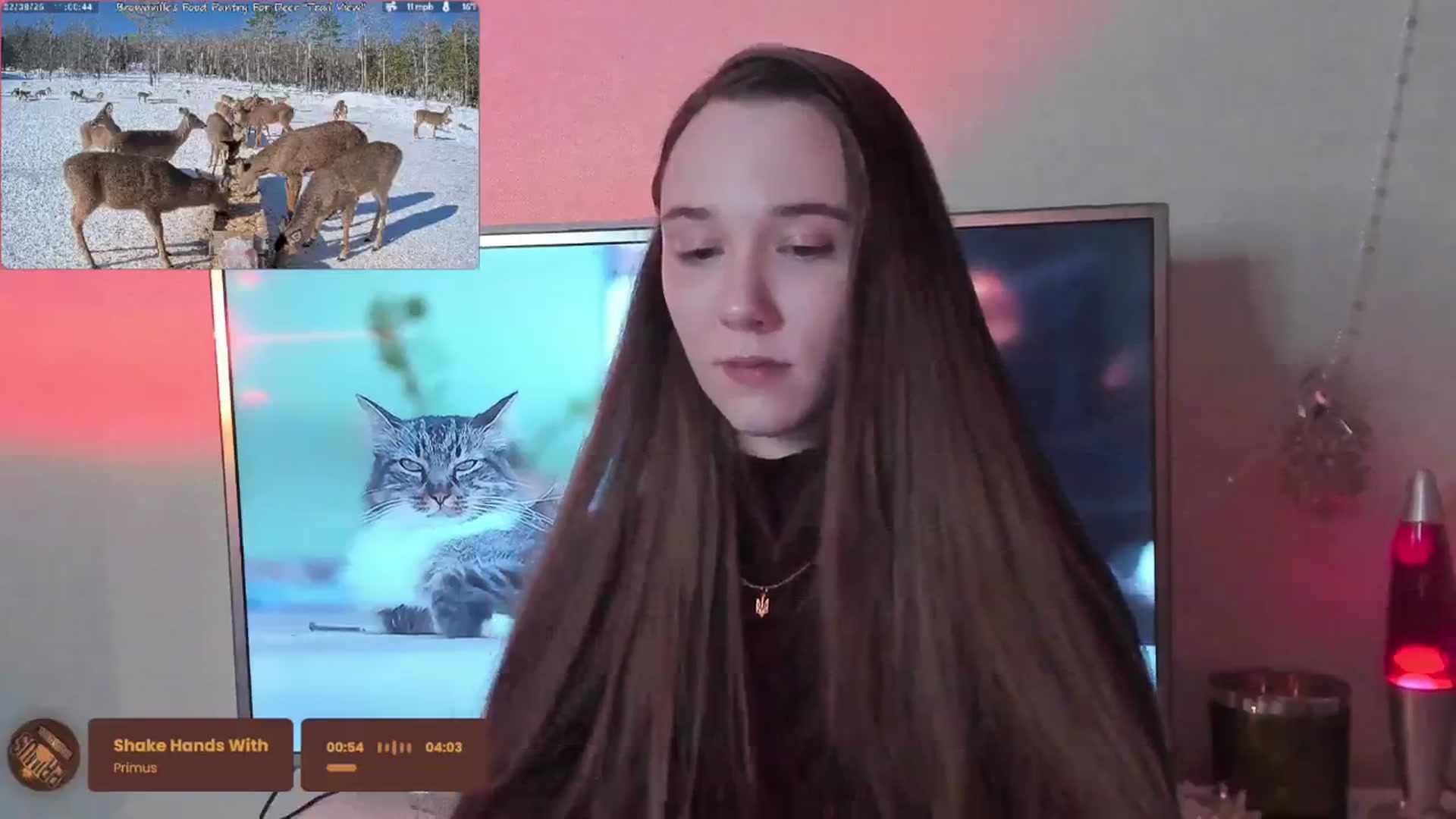 Gallery image thumbnail from Special_One's myfreecams stream on, 02/08/2026, 16:56 image 16 of 20