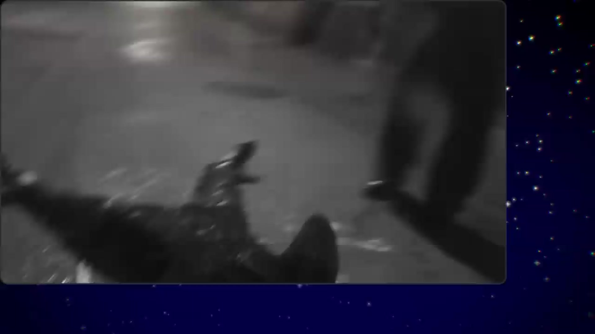 Gallery image thumbnail from Special_One's myfreecams stream on, 07/12/2026, 08:10 image 11 of 20