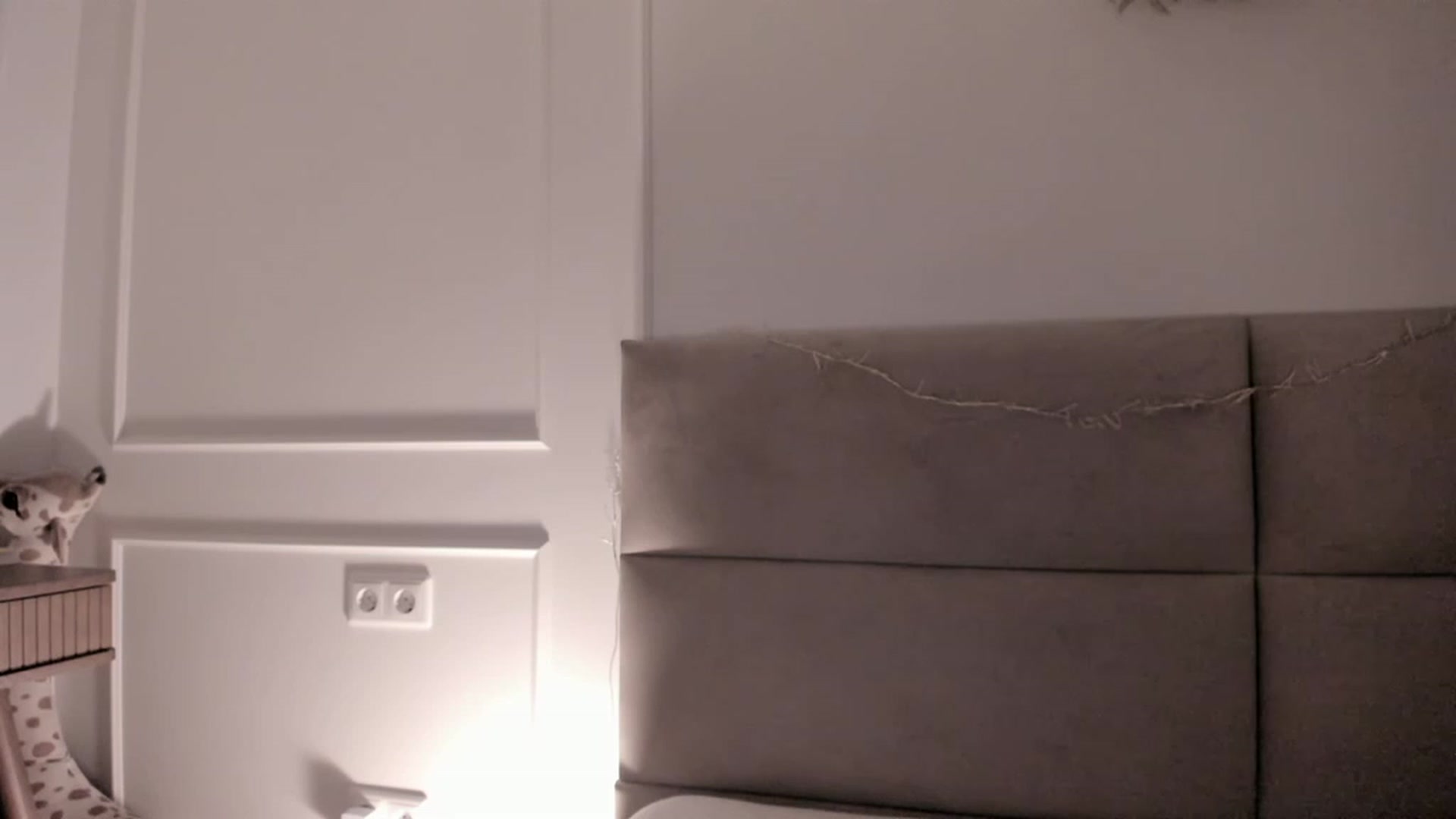 Gallery image thumbnail from Speculoos_'s myfreecams stream on, 12/21/2022, 20:58 image 12 of 20