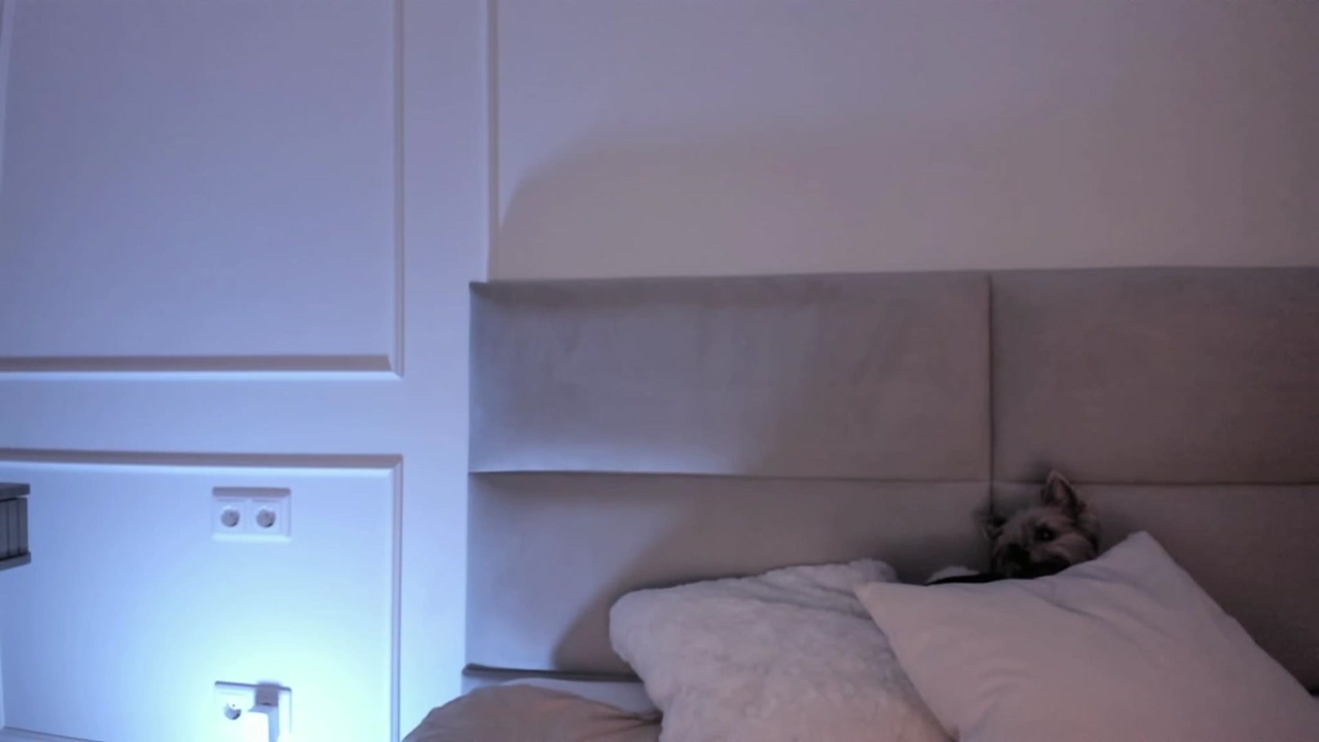 Gallery image thumbnail from Speculoos_'s myfreecams stream on, 08/10/2023, 20:02 image 5 of 20