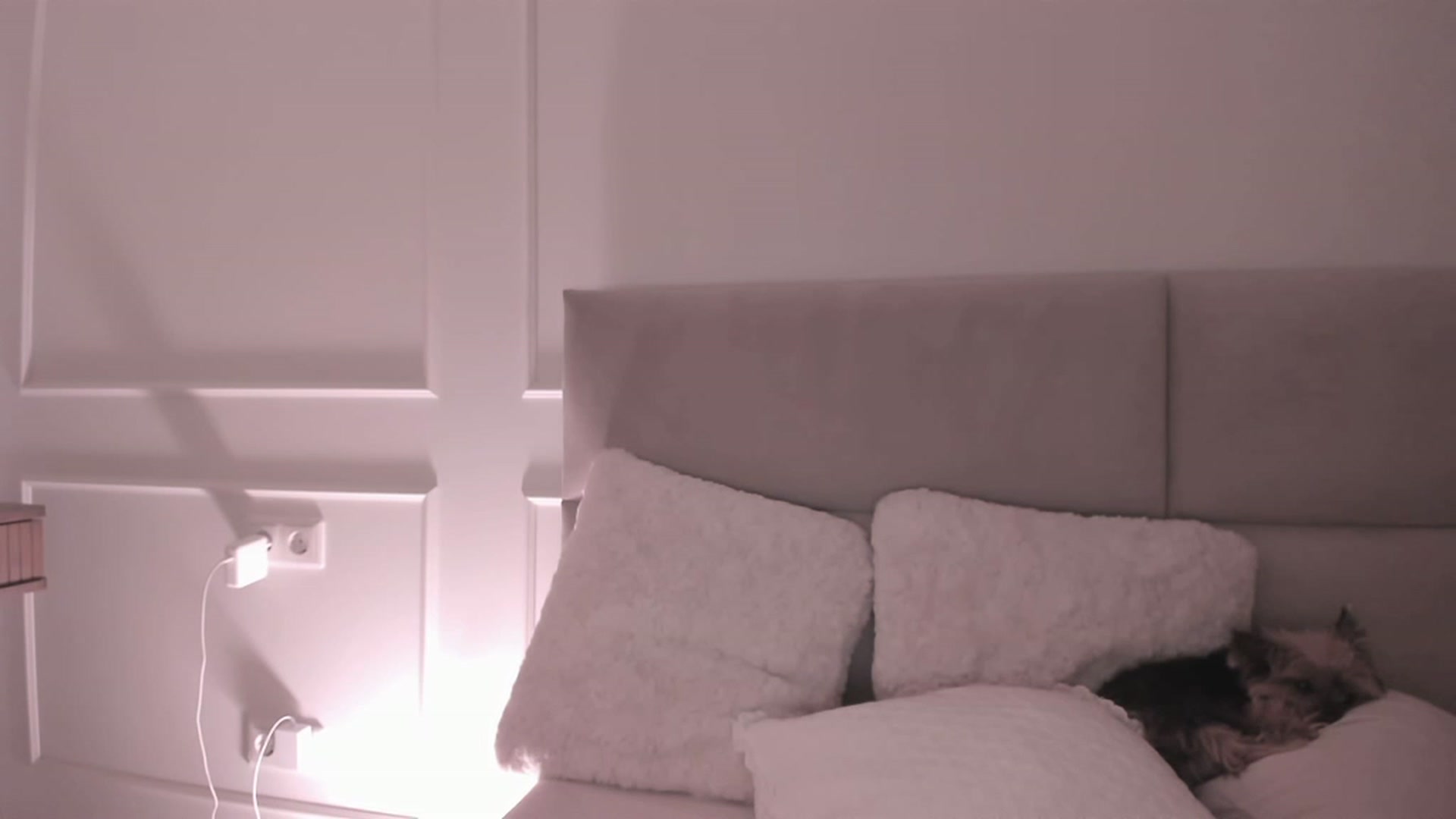 Gallery image thumbnail from Speculoos_'s myfreecams stream on, 09/26/2023, 20:40 image 18 of 20