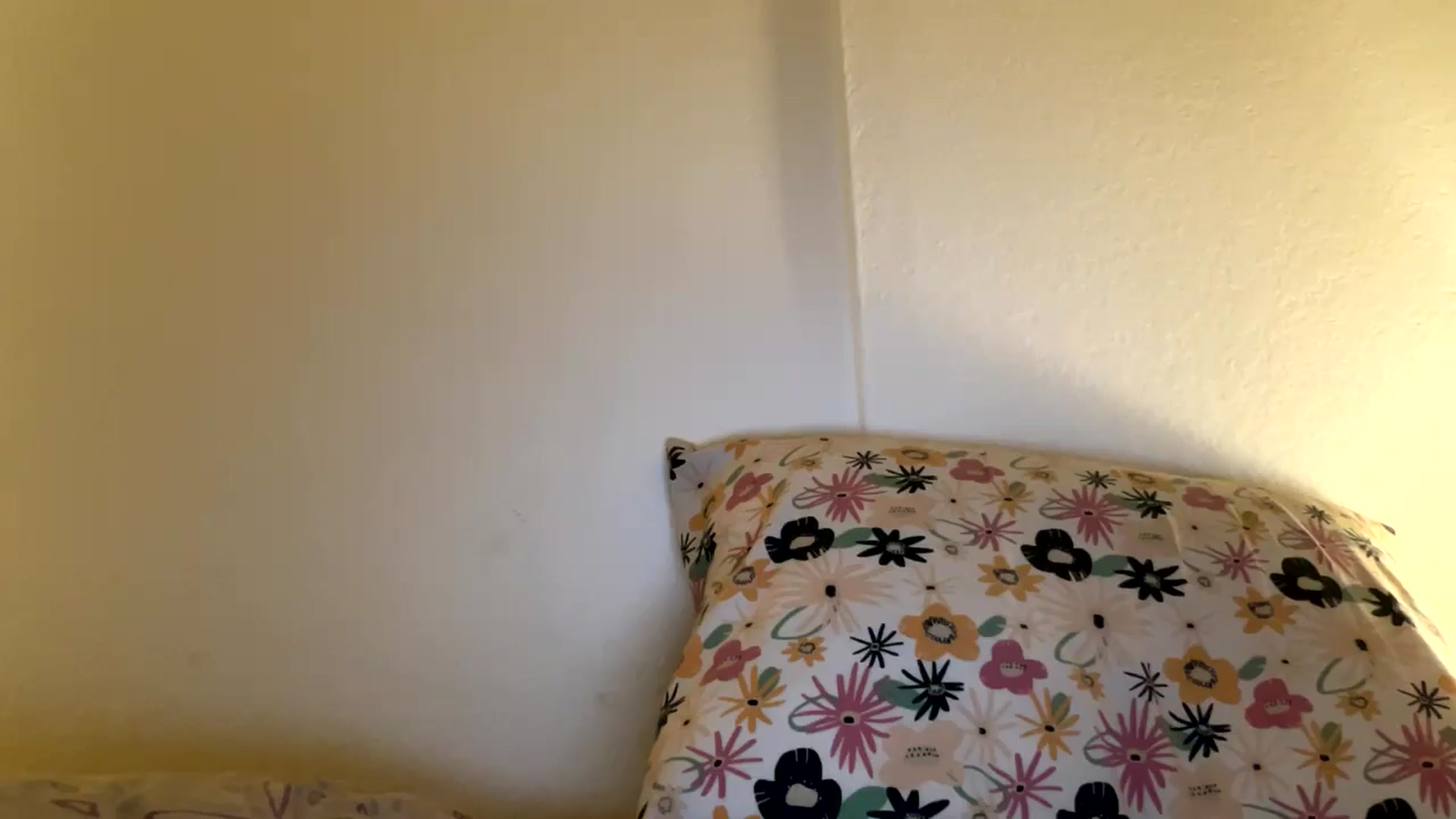 Gallery image thumbnail from SpencerJune's myfreecams stream on, 01/20/2025, 03:23 image 2 of 20