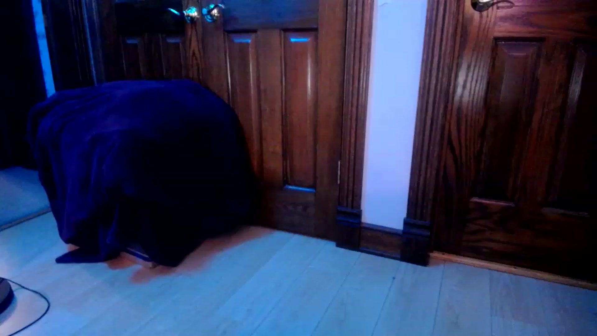 Gallery image thumbnail from Sphenoids's myfreecams stream on, 12/07/2022, 05:53 image 3 of 20