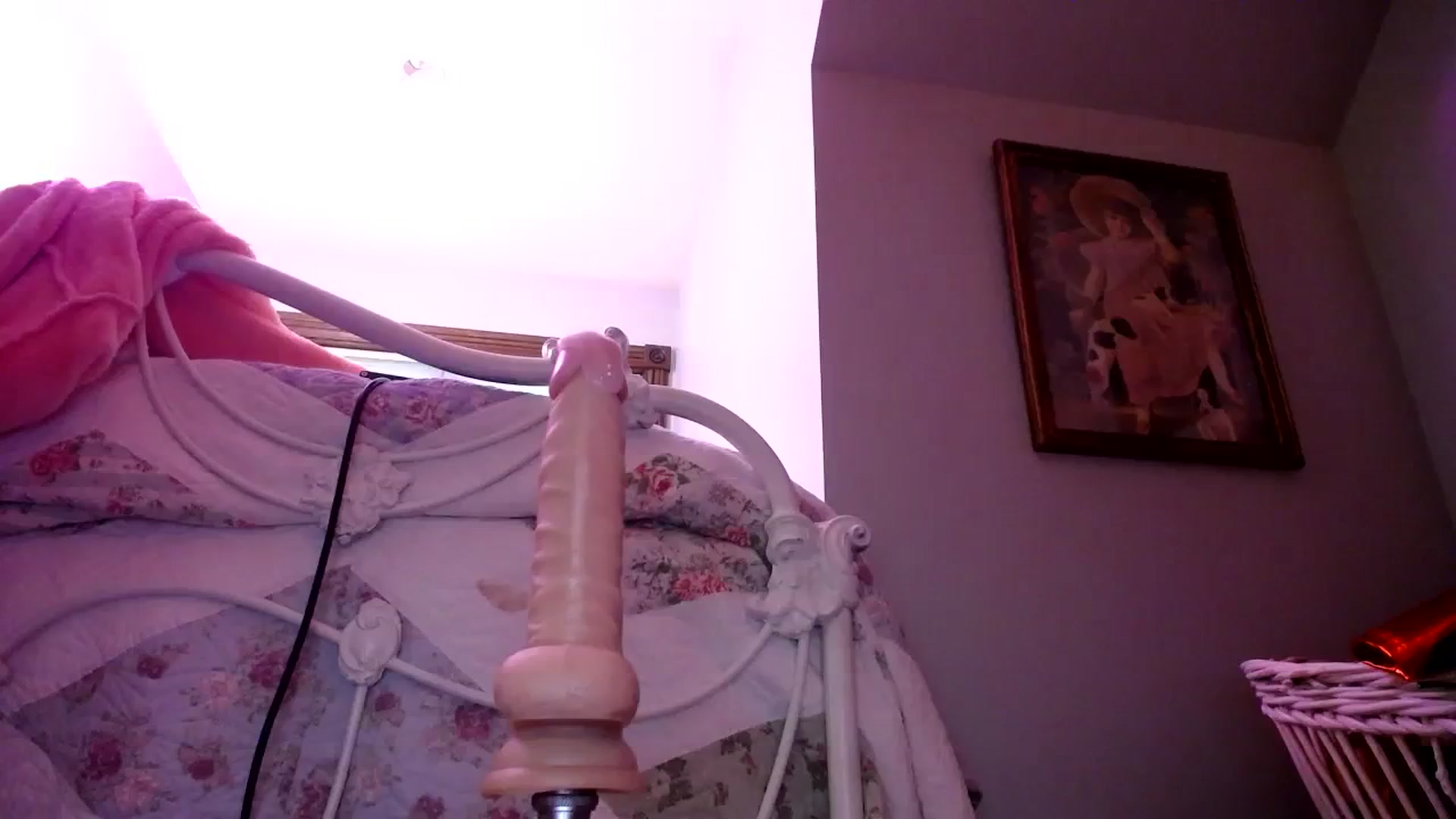 Gallery image thumbnail from Sphenoids's myfreecams stream on, 08/08/2023, 02:54 image 1 of 20