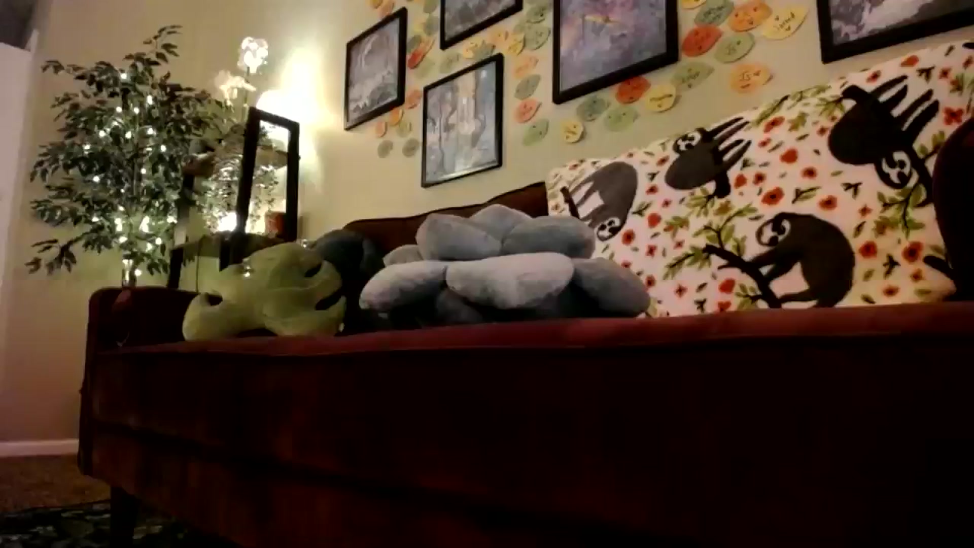 Gallery image thumbnail from Sphenoids's myfreecams stream on, 01/24/2026, 03:16 image 1 of 20