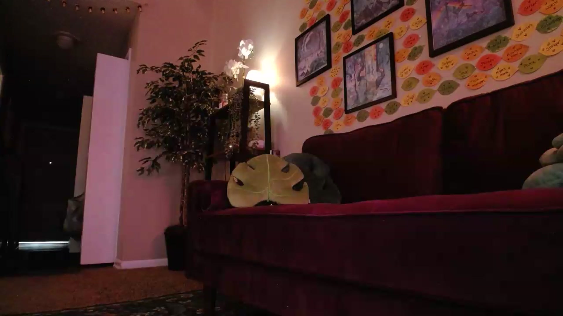 Gallery image thumbnail from Sphenoids's myfreecams stream on, 08/05/2026, 24:03 image 16 of 20