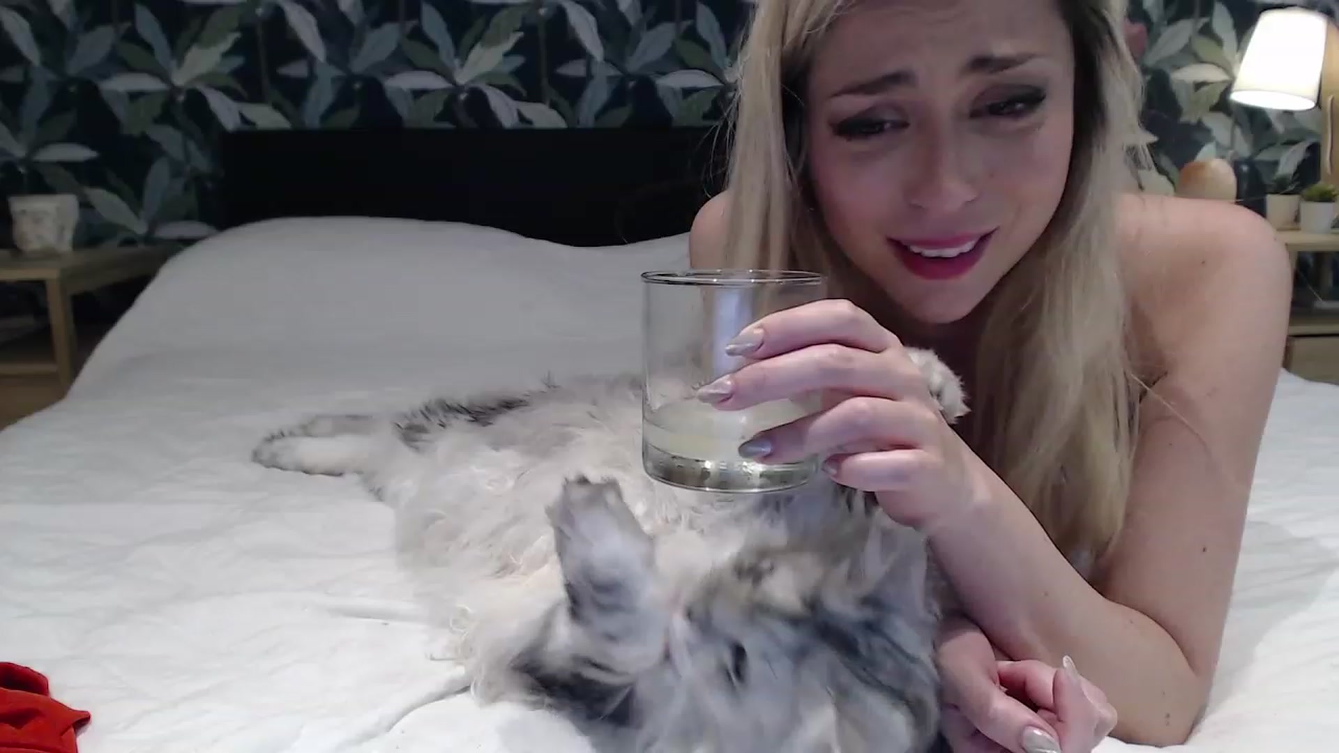 Gallery image thumbnail from Sphynx_Lions's myfreecams stream on, 11/23/2022, 01:54 image 20 of 20