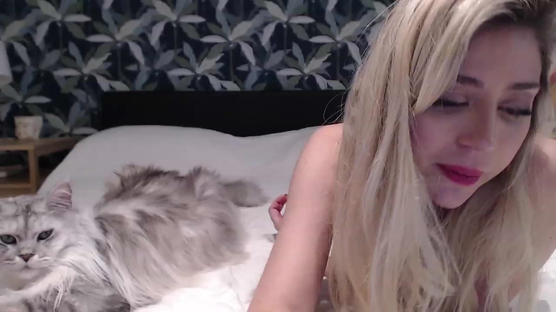 Gallery image thumbnail from Sphynx_Lions's myfreecams stream on, 11/23/2022, 01:54 image 17 of 20