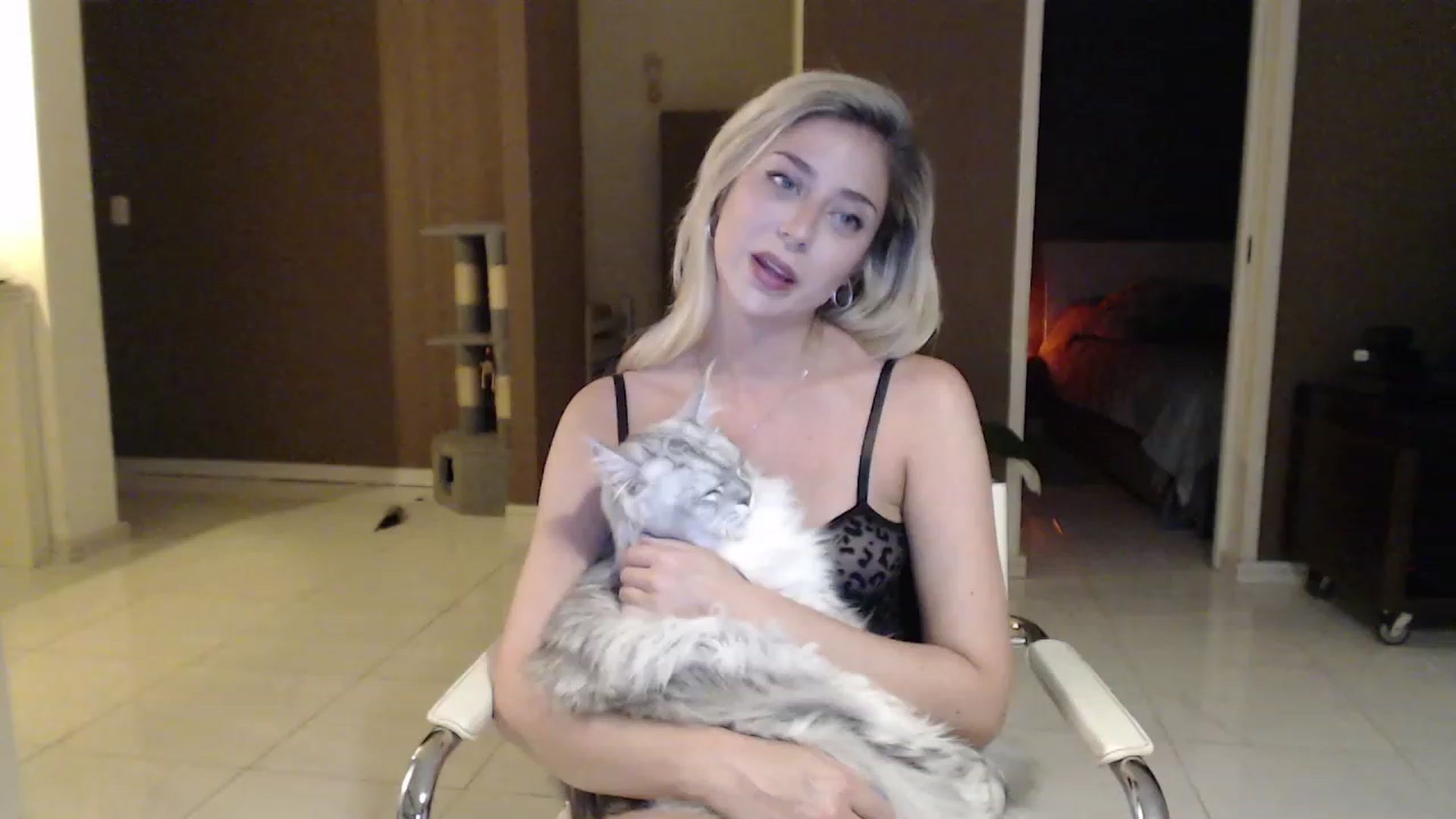 Gallery image thumbnail from Sphynx_Lions's myfreecams stream on, 02/04/2023, 03:29 image 6 of 20