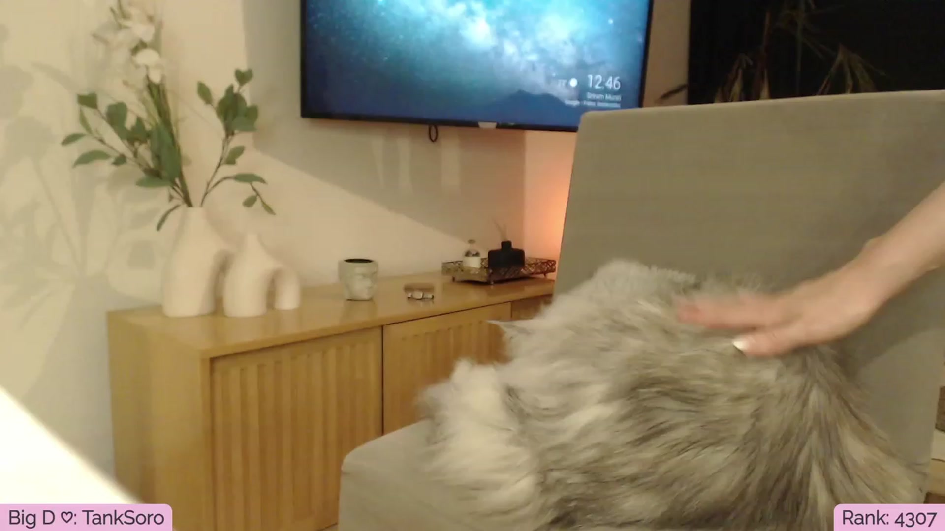 Gallery image thumbnail from Sphynx_Lions's myfreecams stream on, 01/26/2024, 03:56 image 17 of 20
